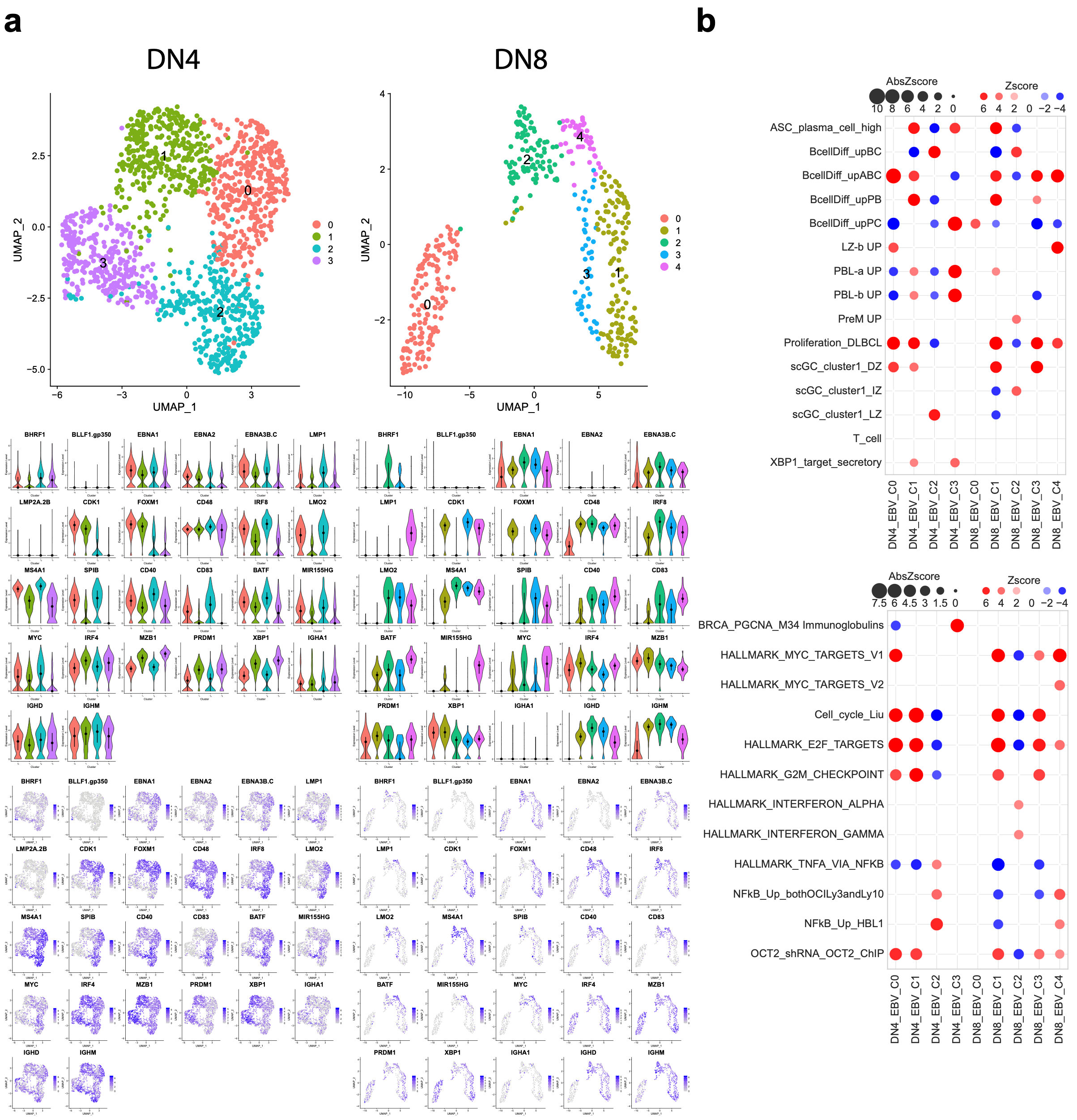 Cancers 15 03083 g007