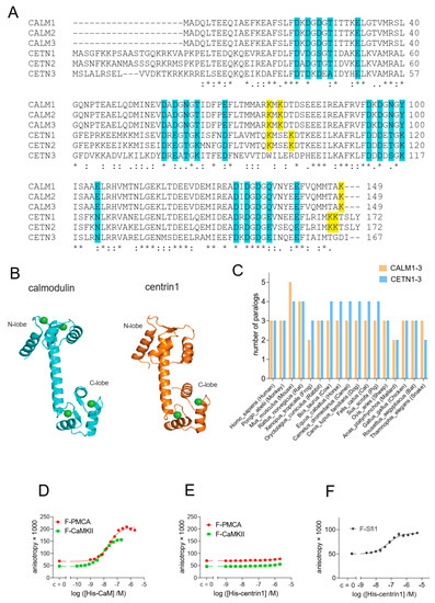 Cancers 15 03087 g001