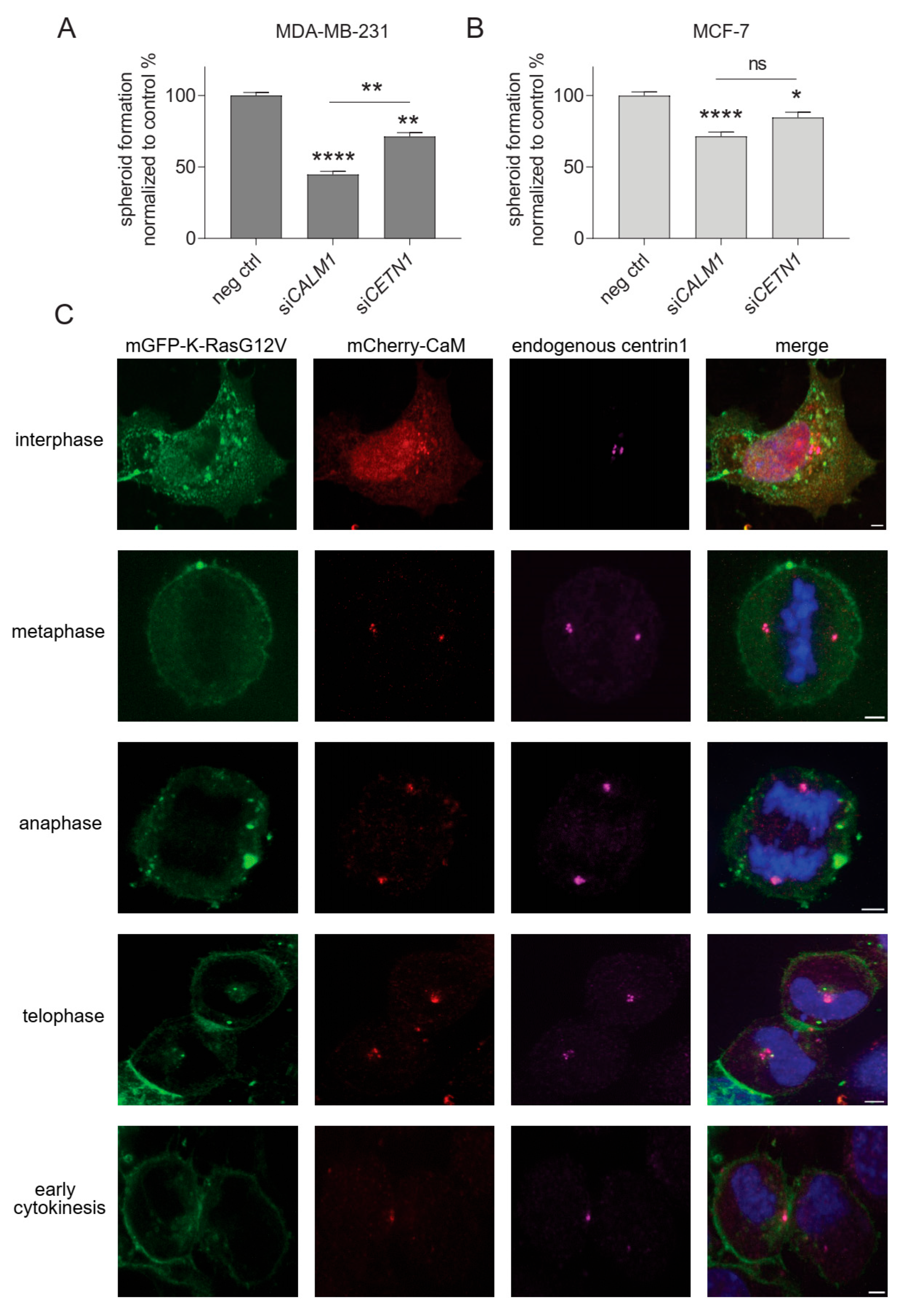Cancers 15 03087 g006