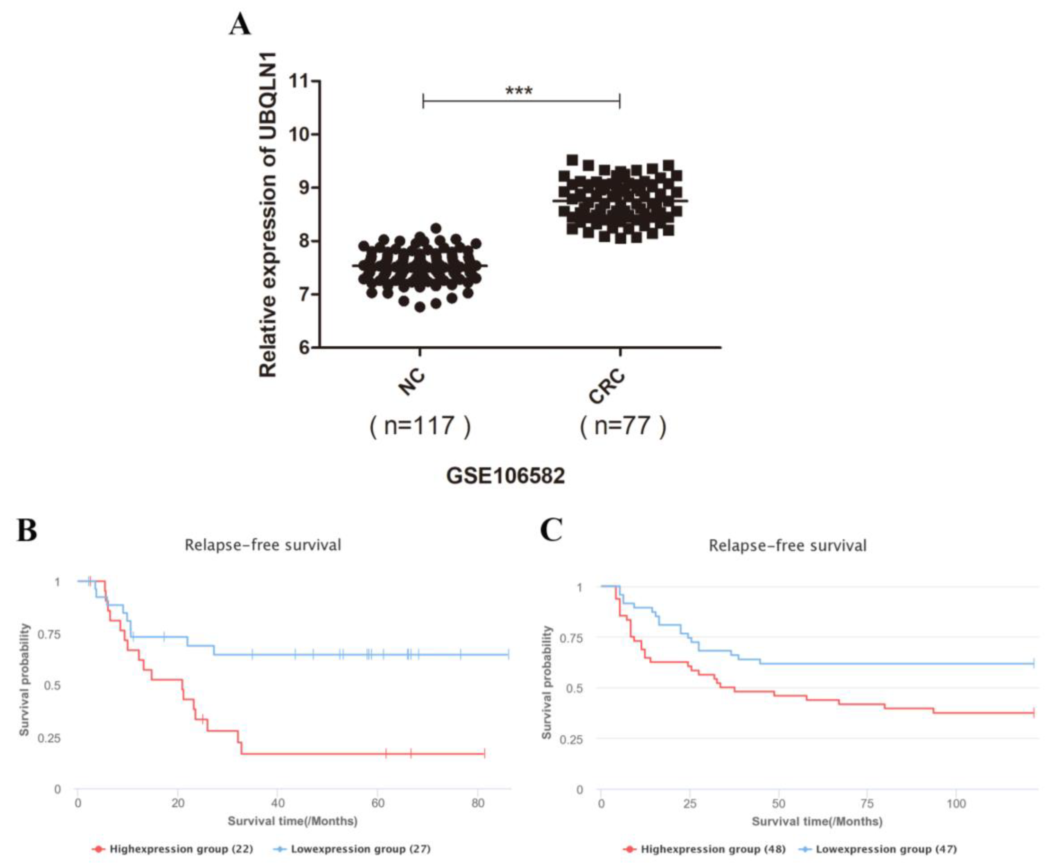 Cancers 15 03088 g001