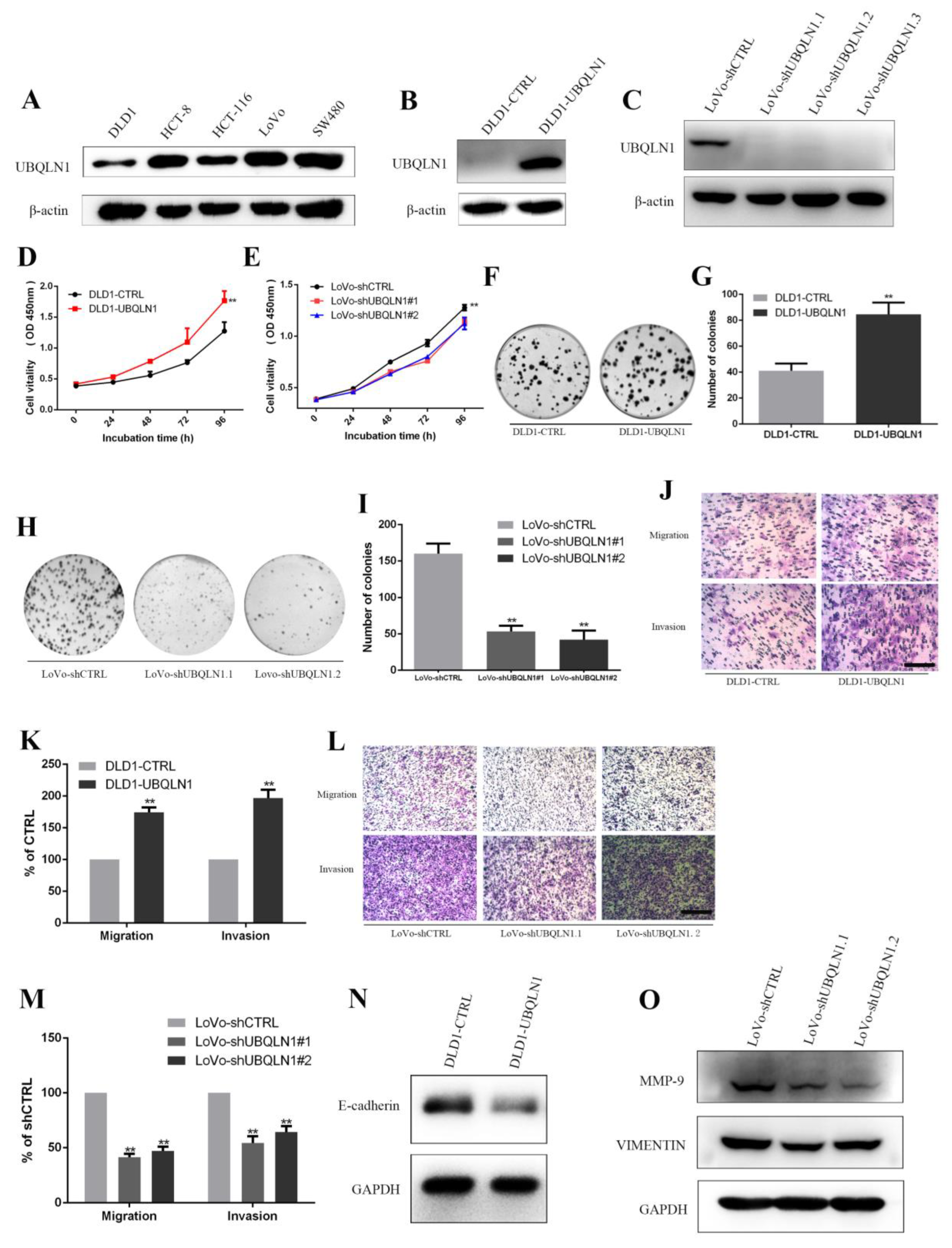 Cancers 15 03088 g002