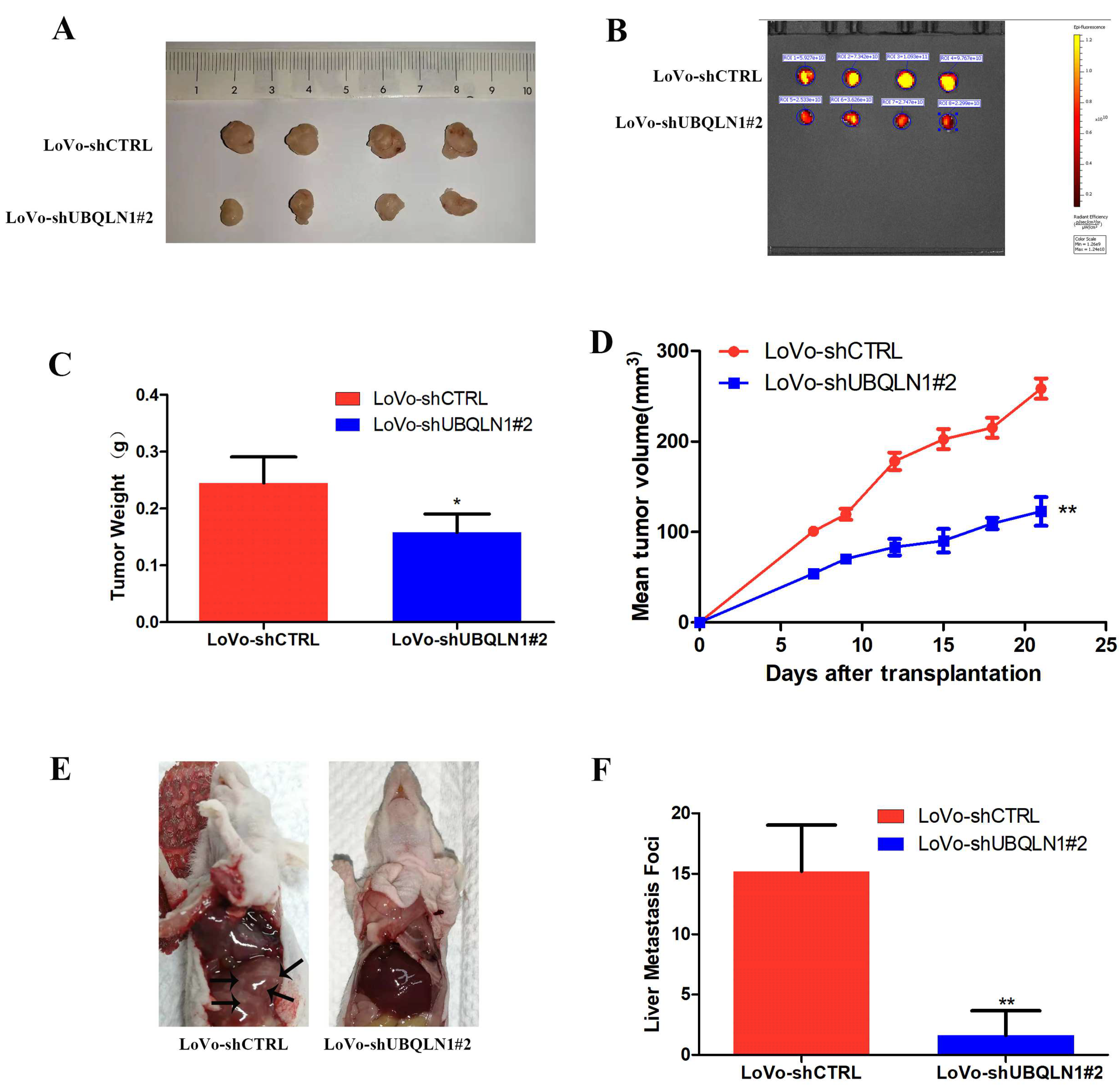 Cancers 15 03088 g003