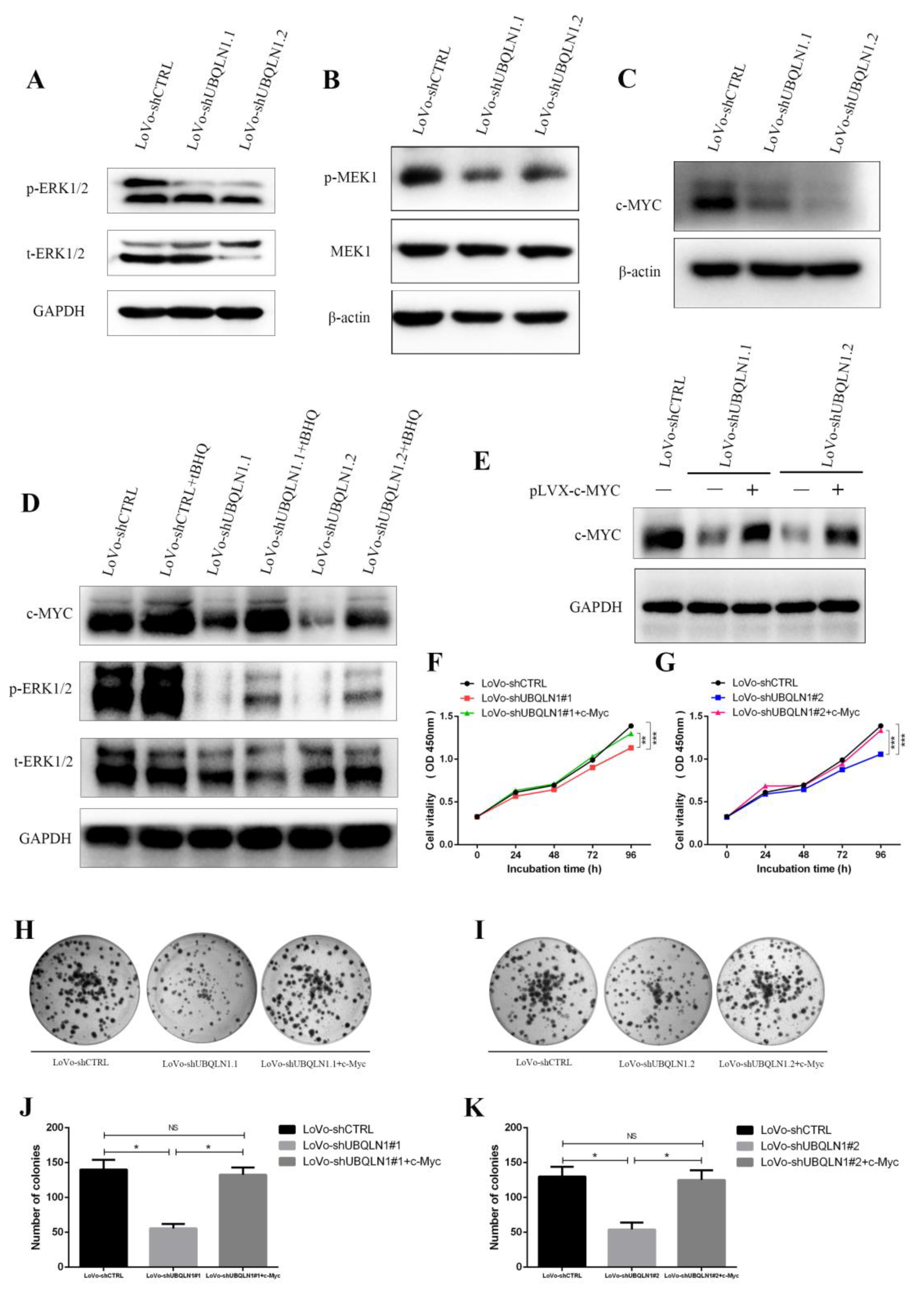 Cancers 15 03088 g004