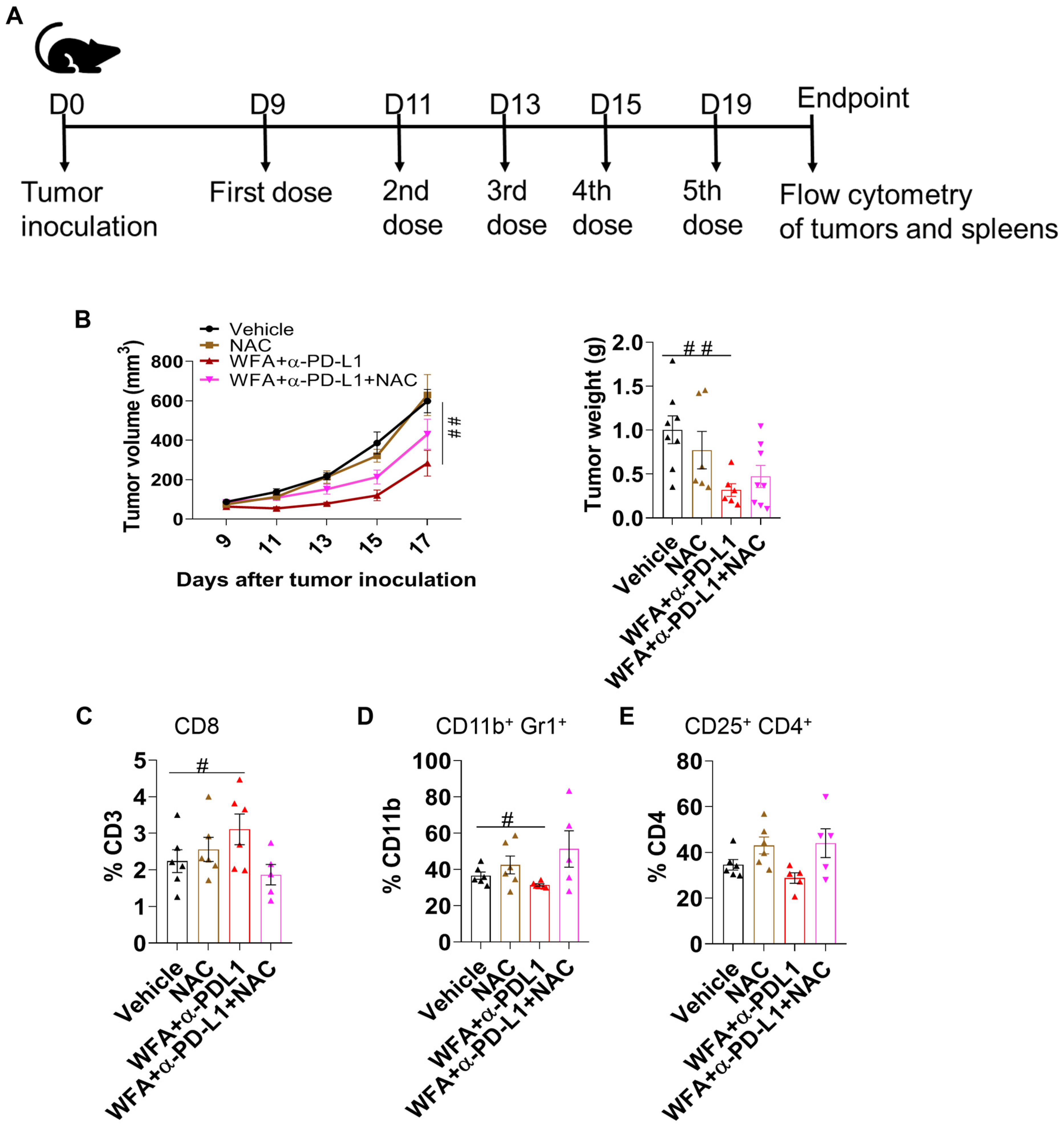 Cancers 15 03089 g006