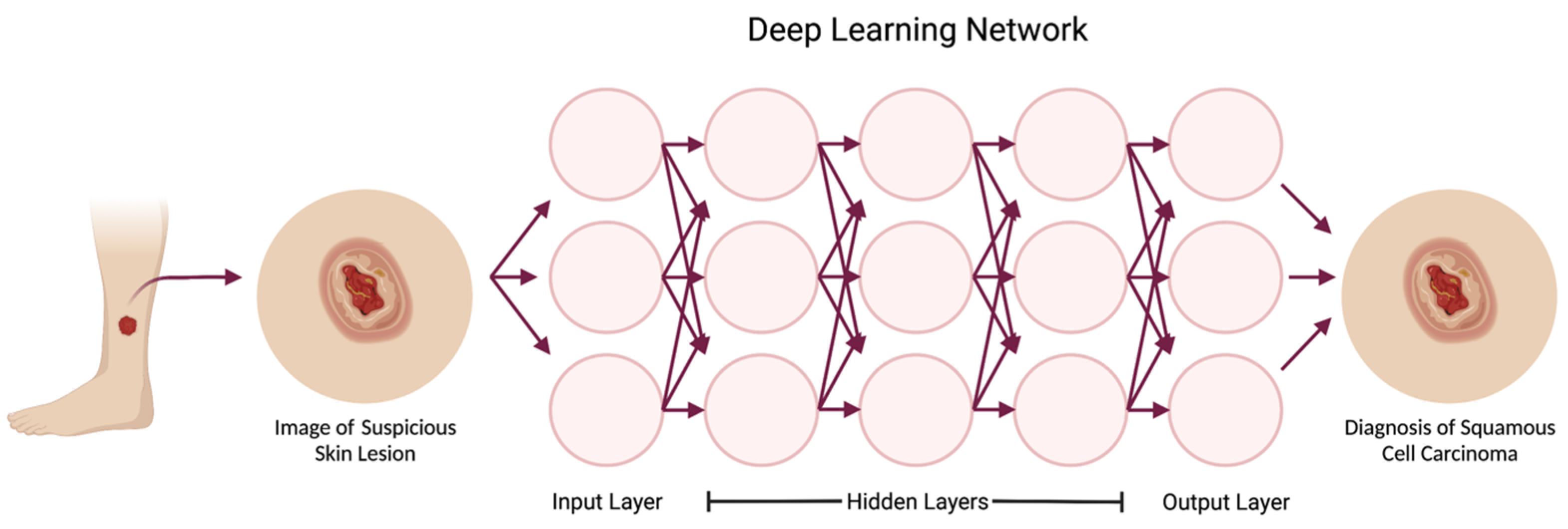 Cancers 15 03094 g002