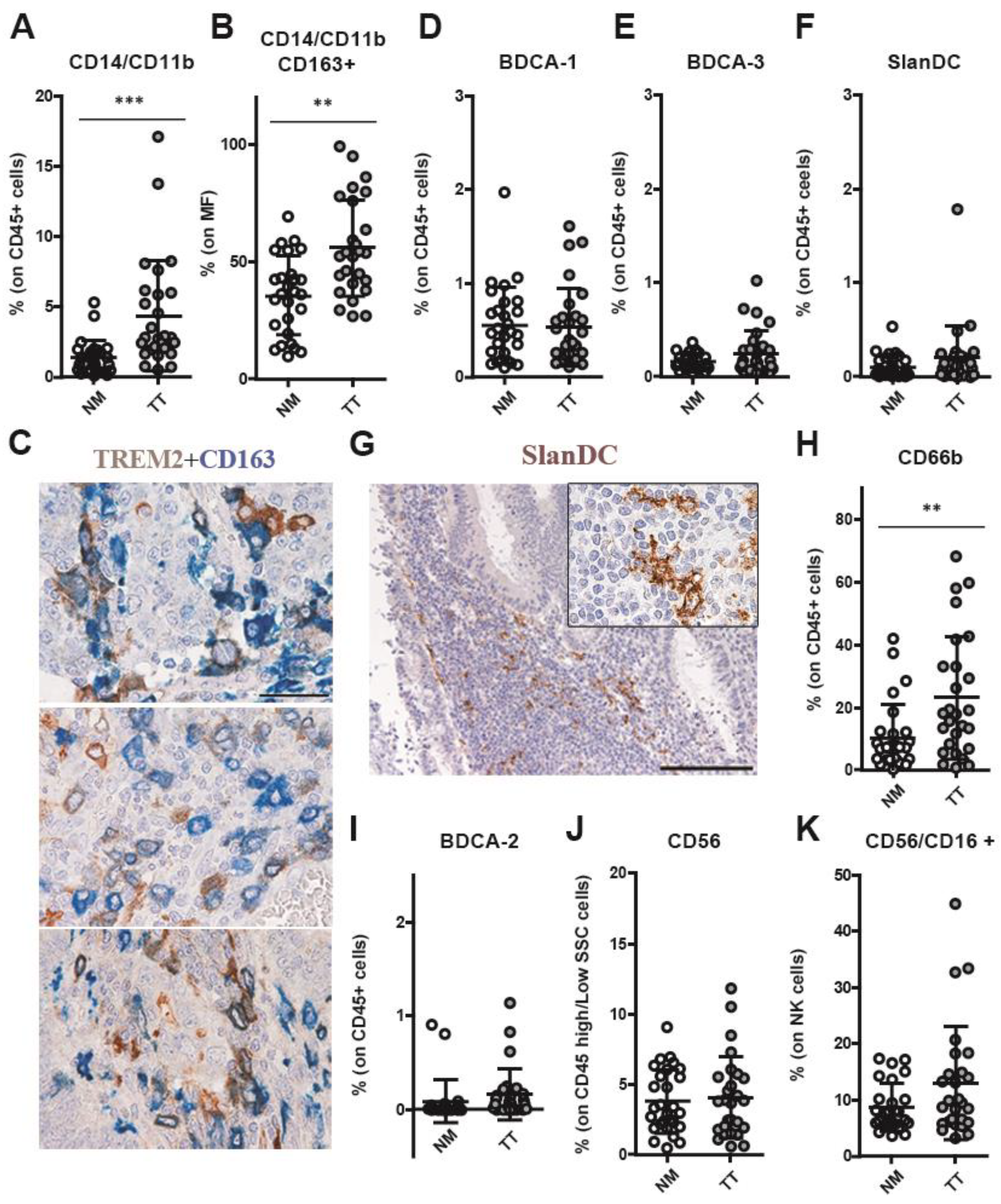 Cancers 15 03097 g002
