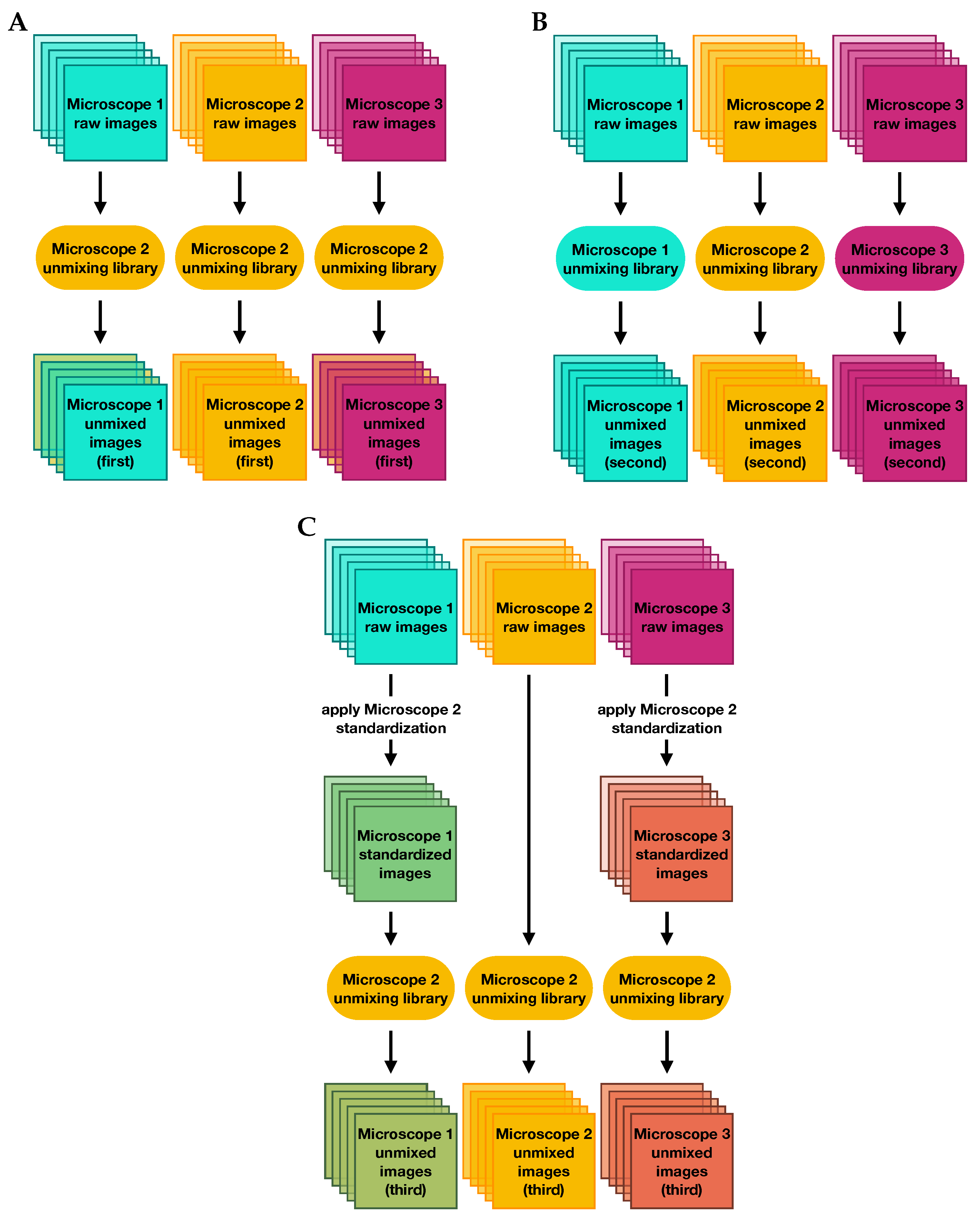 Cancers 15 03109 g009