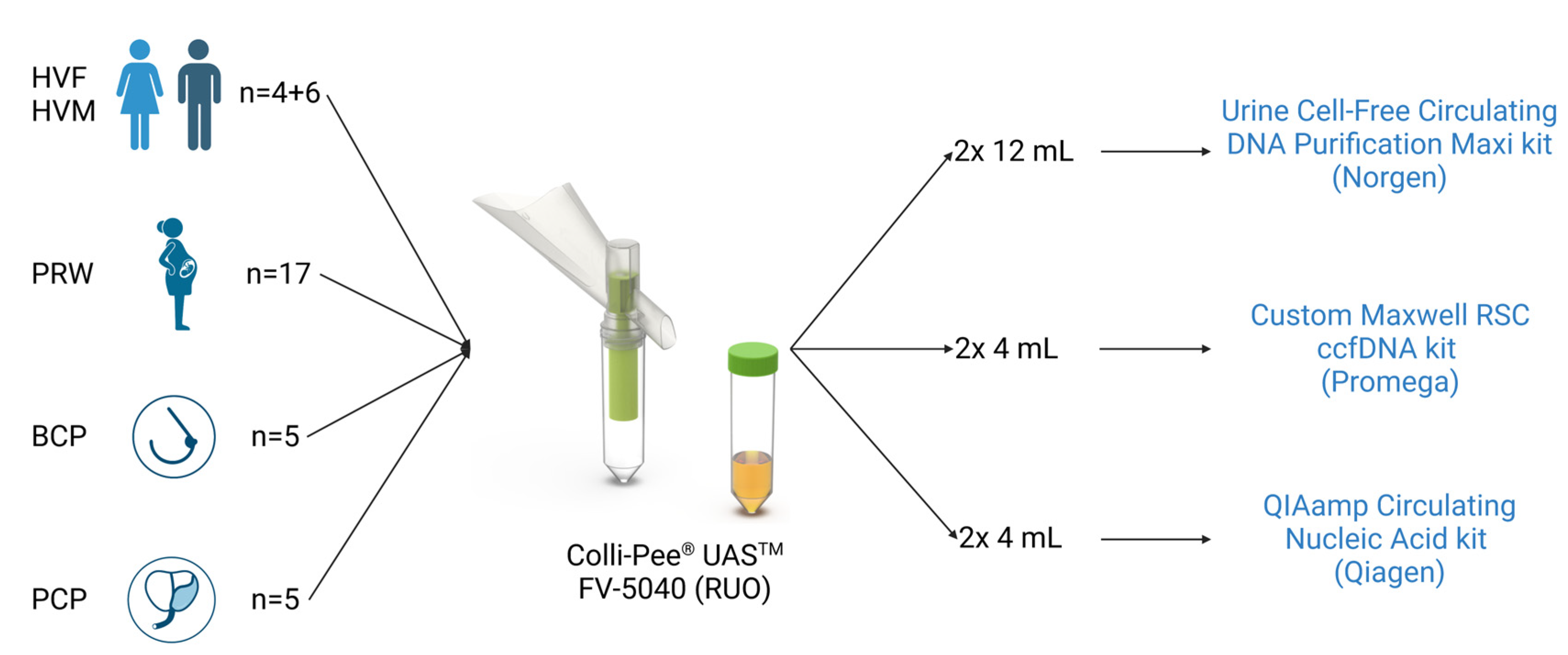 Cancers 15 03119 g002