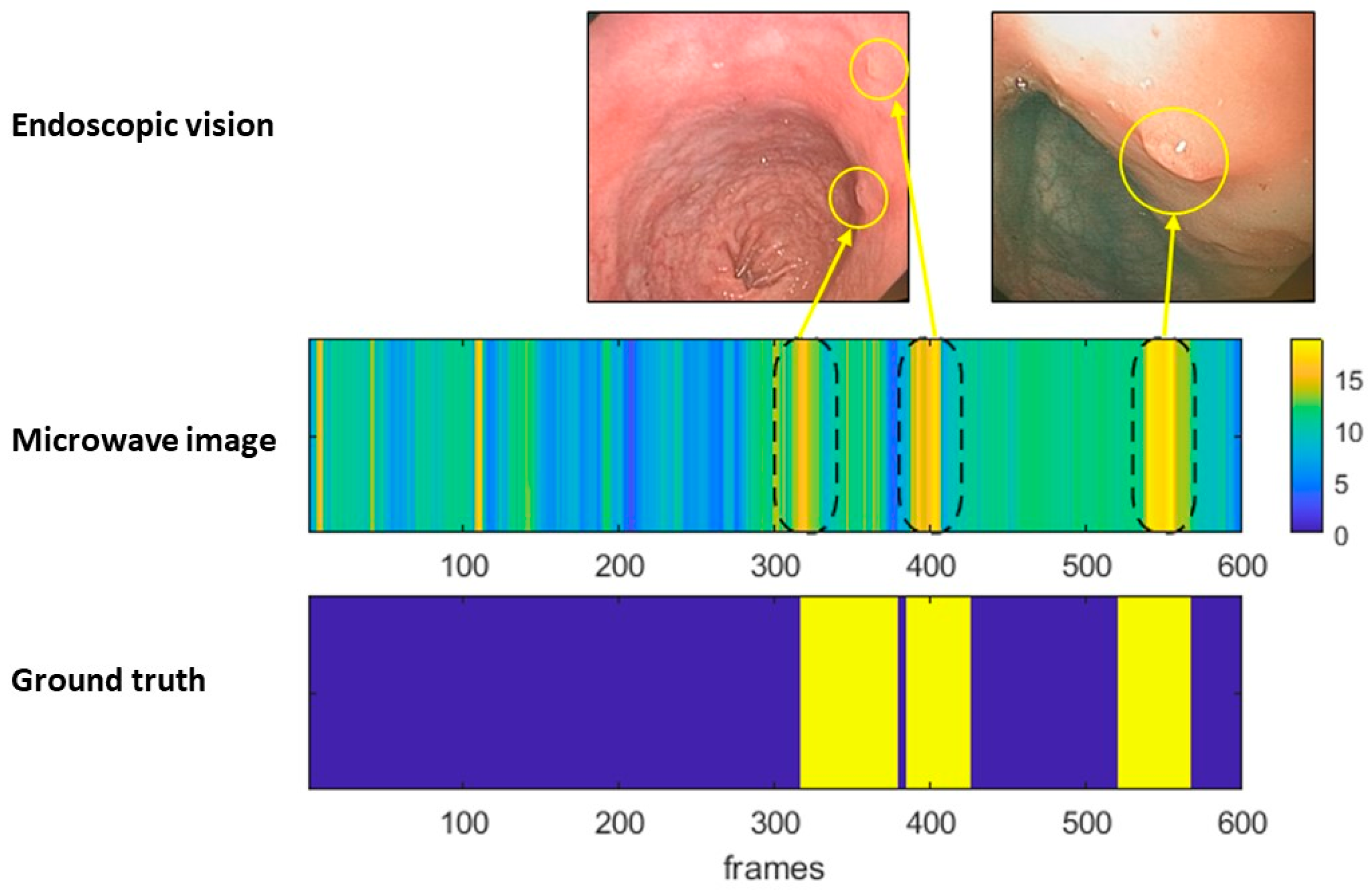 Cancers 15 03122 g003