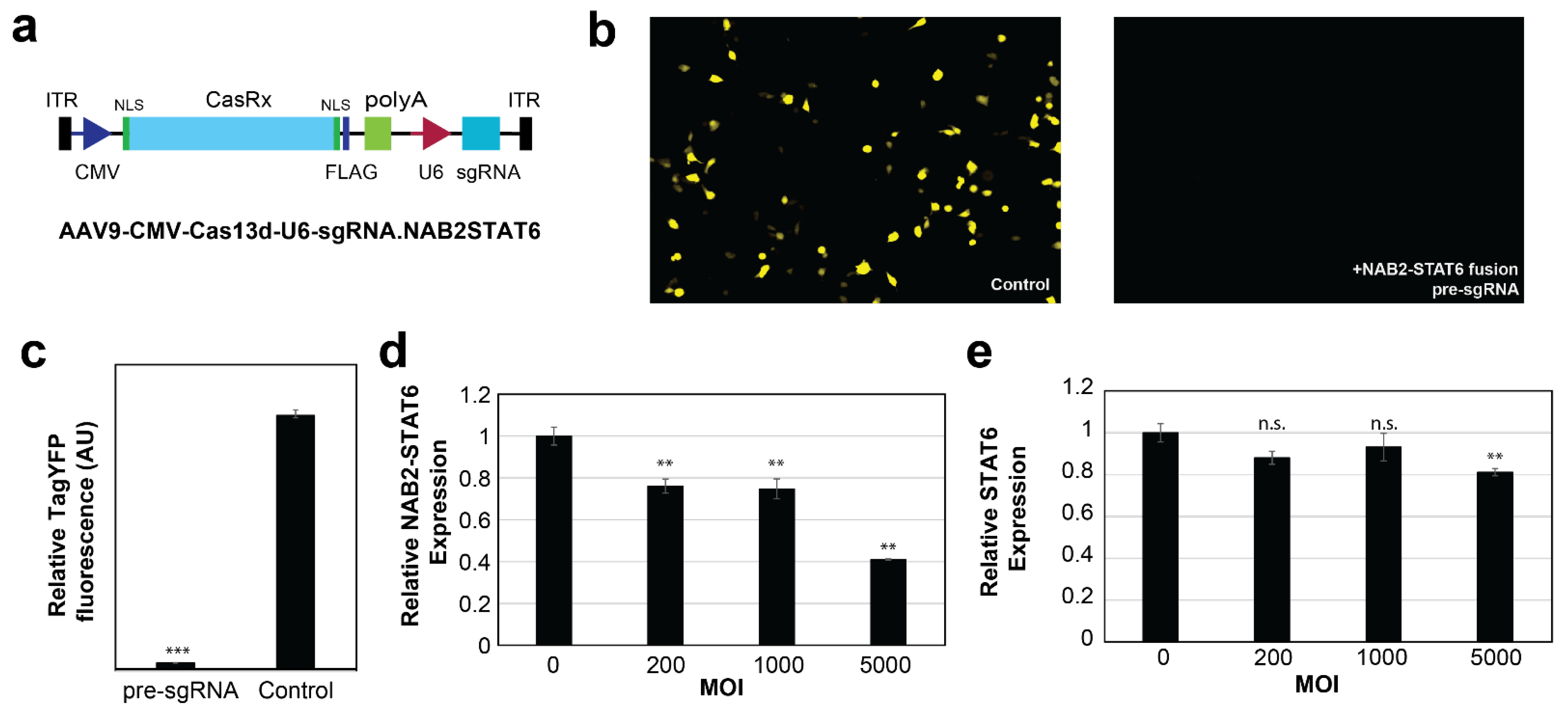 Cancers 15 03127 g004