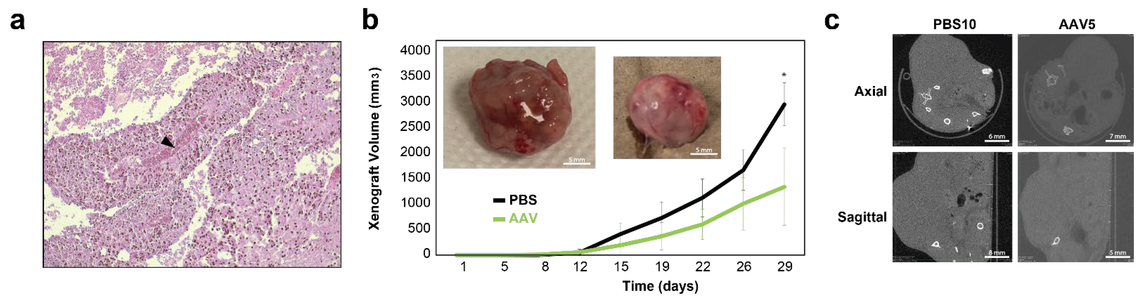 Cancers 15 03127 g005
