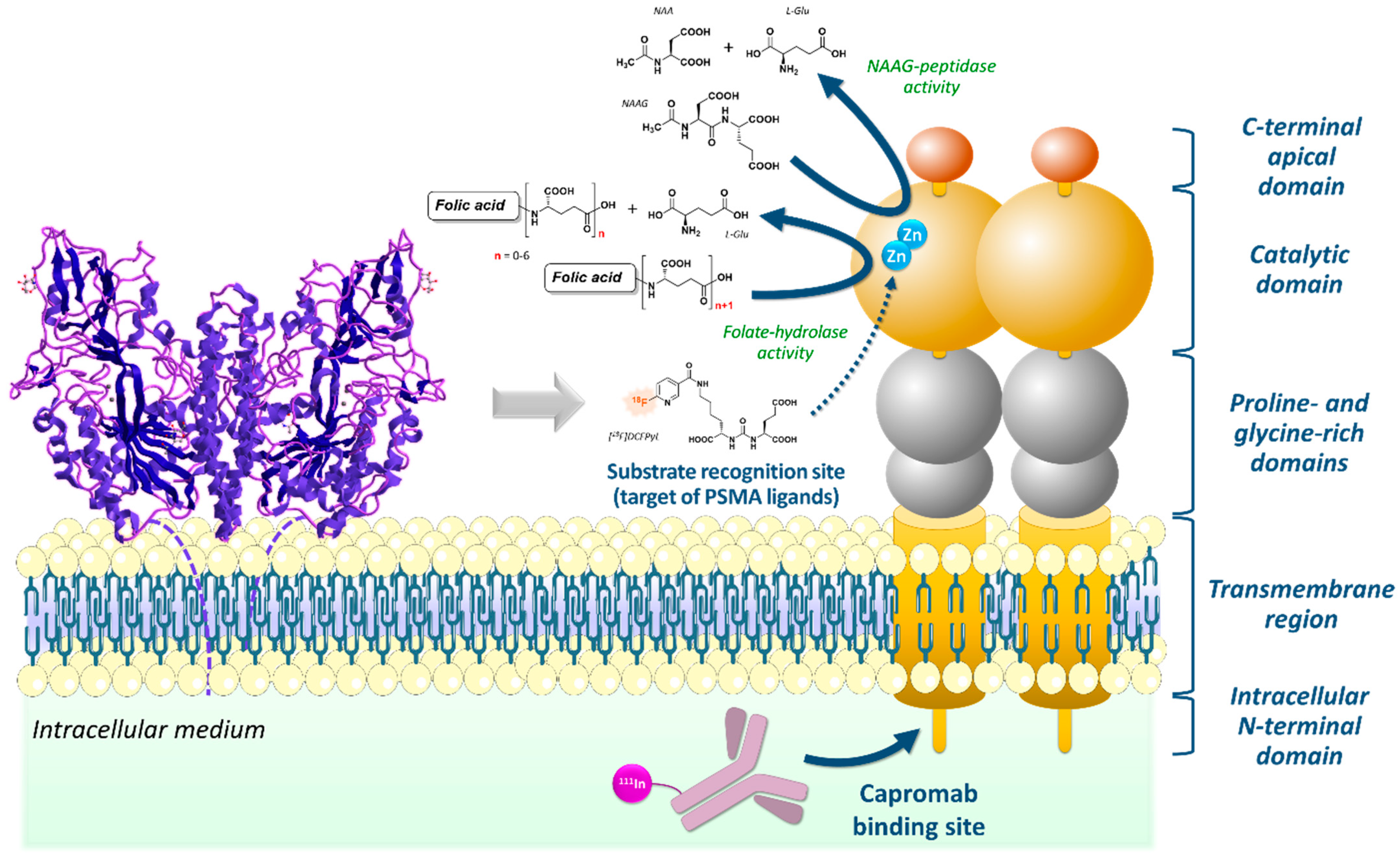 Cancers 15 03133 g001