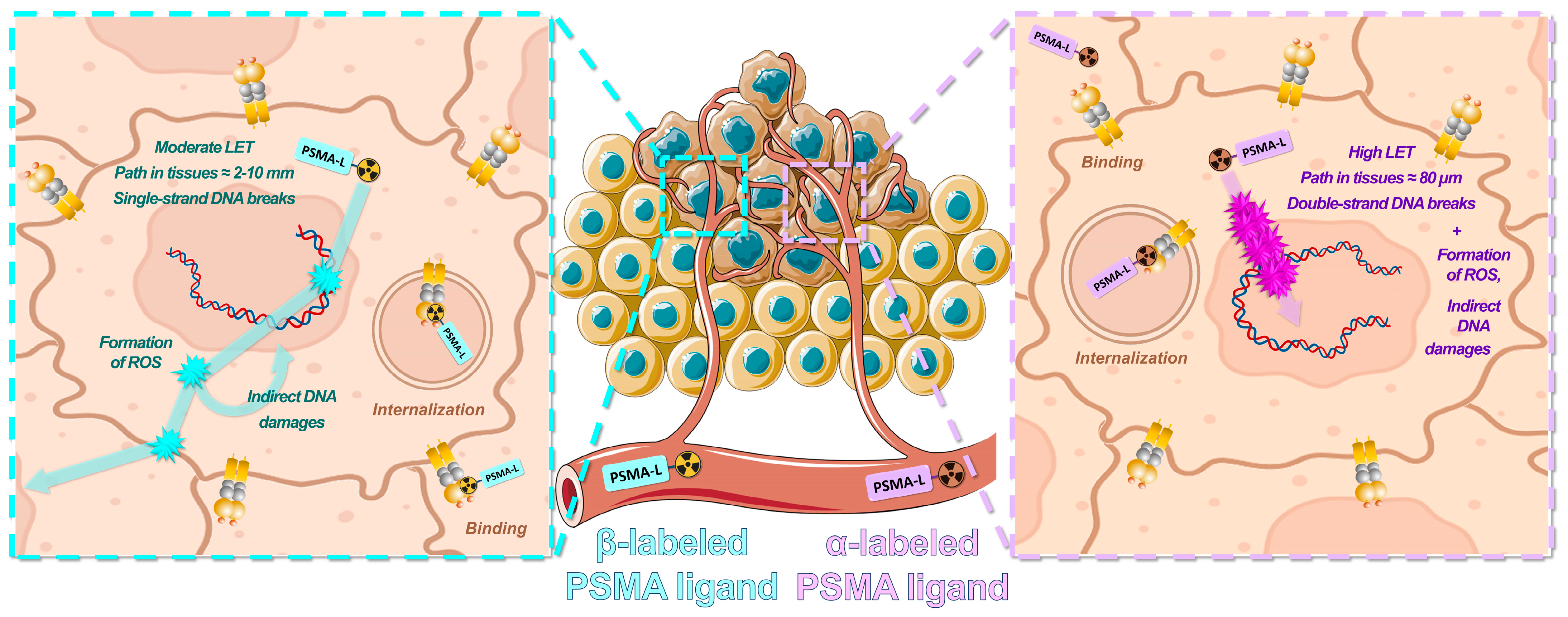 Cancers 15 03133 g003