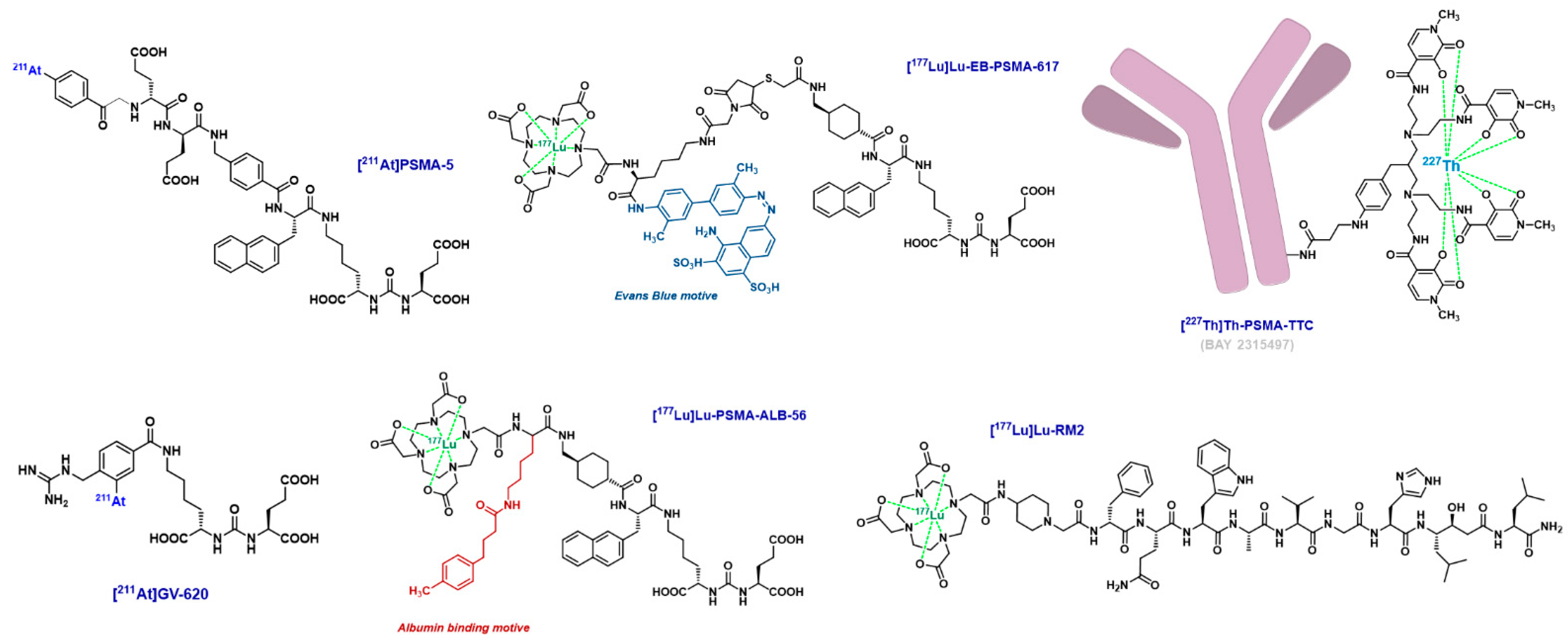Cancers 15 03133 g005