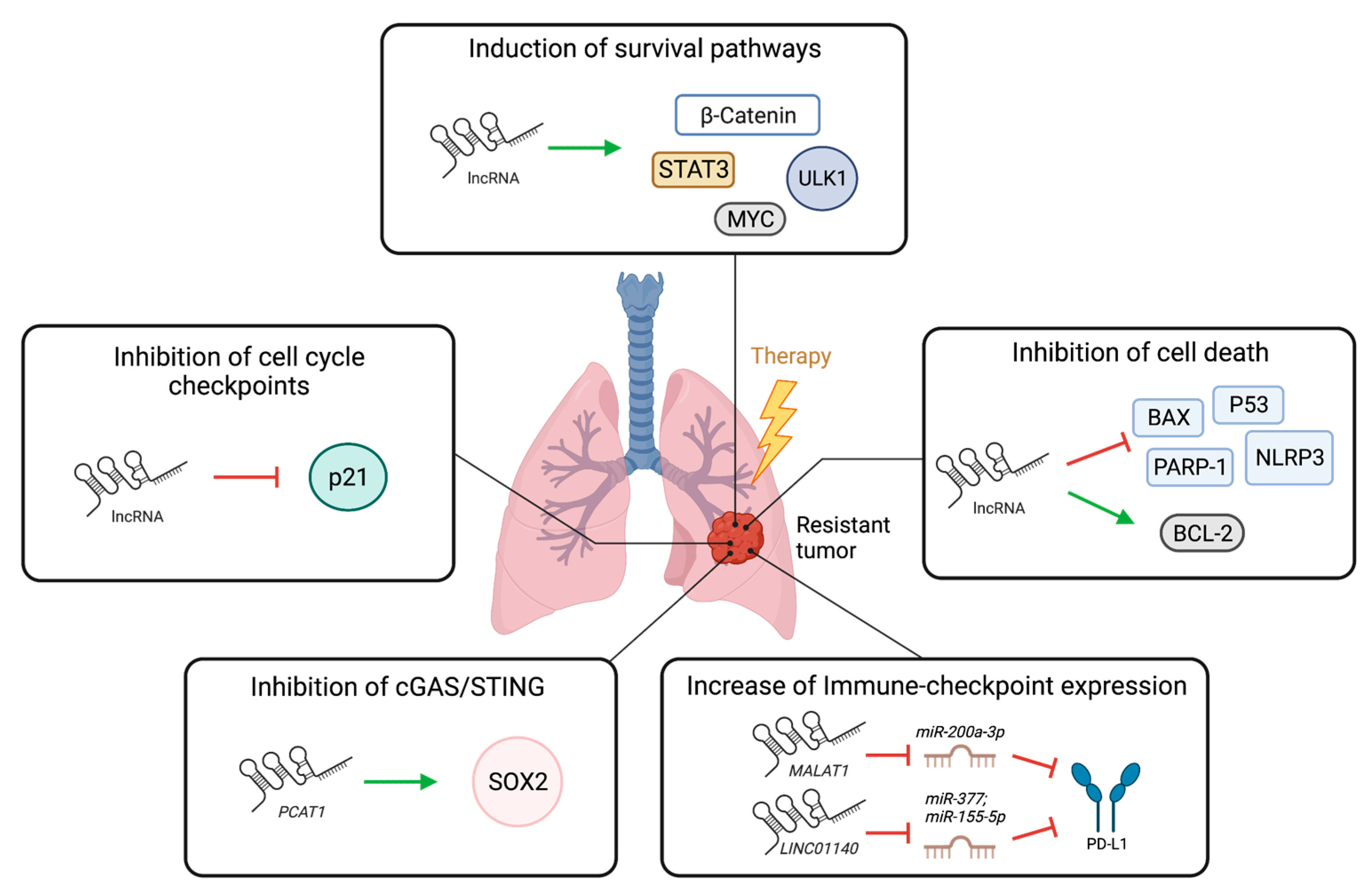 Cancers 15 03135 g002