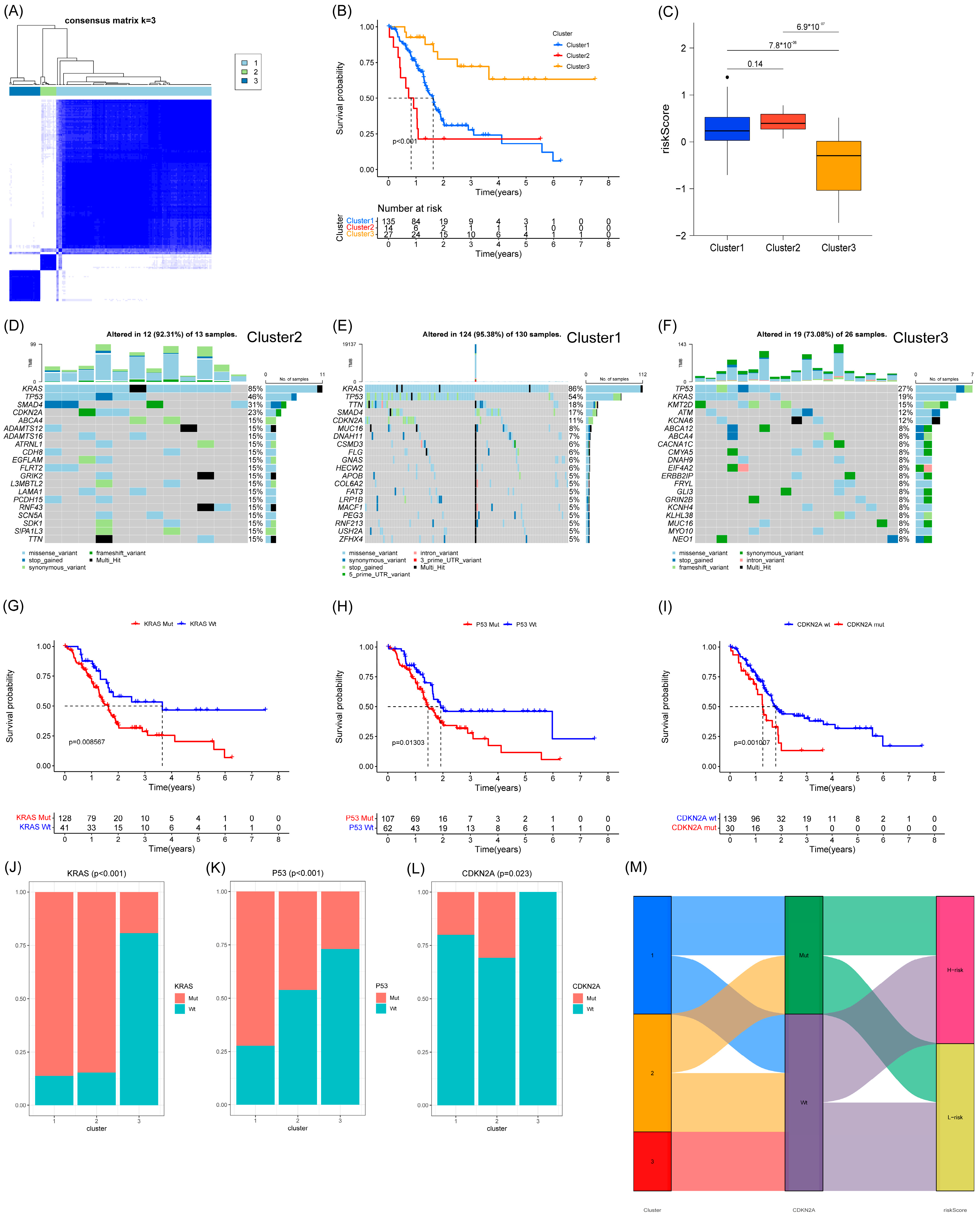 Cancers 15 03146 g007 Cancers 15 03146 g007