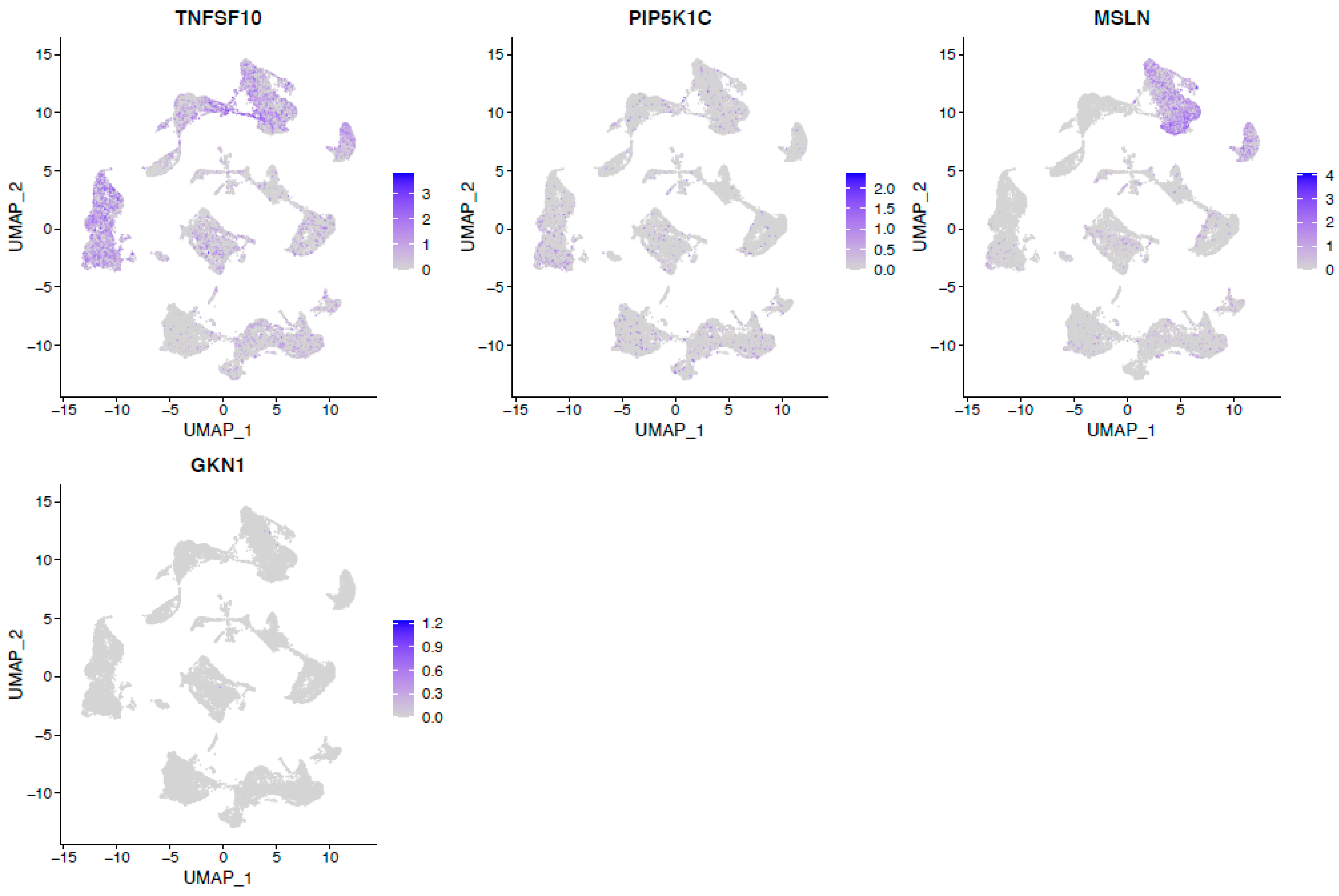 Cancers 15 03146 g008b Cancers 15 03146 g008b