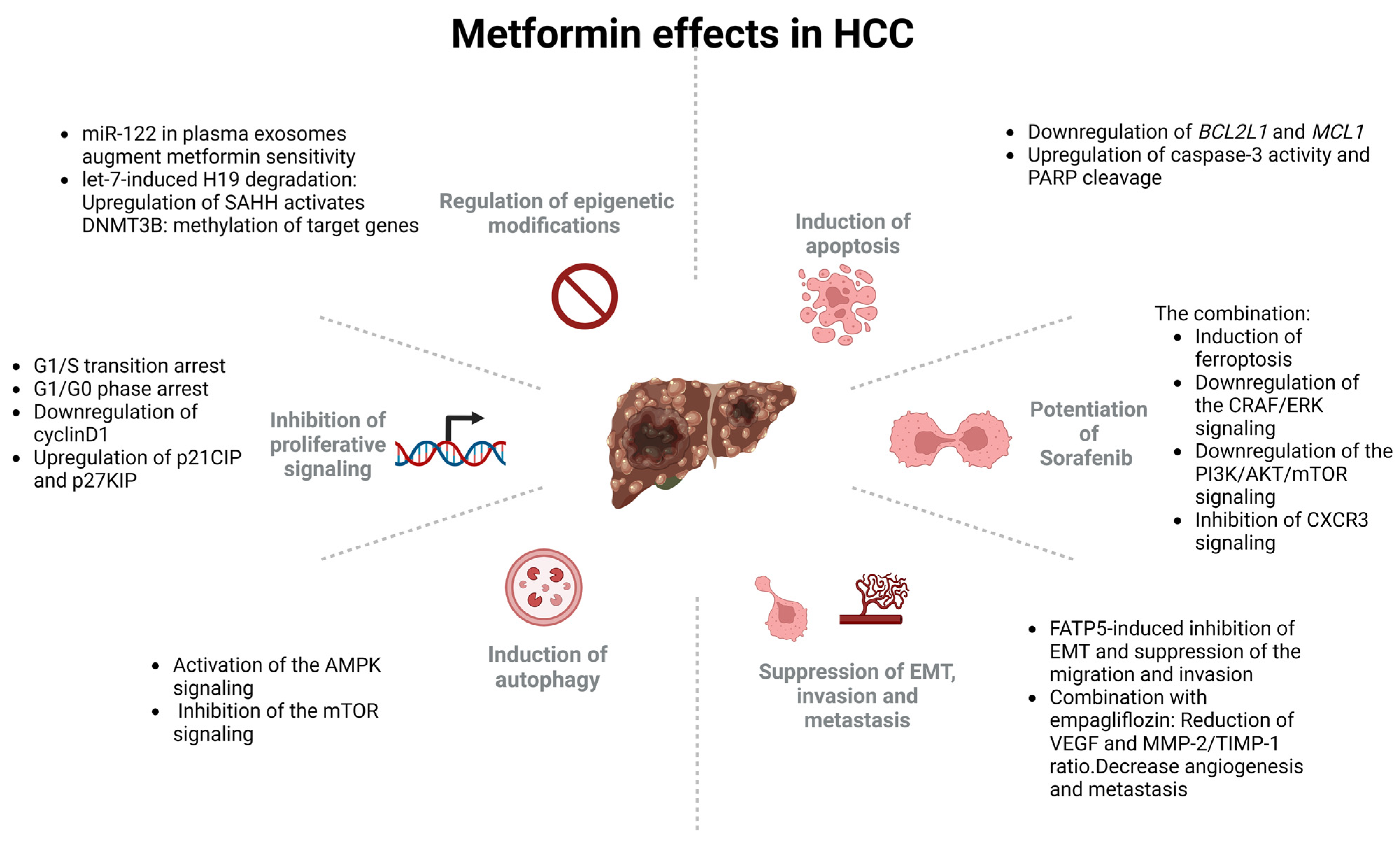 Cancers 15 03161 g002