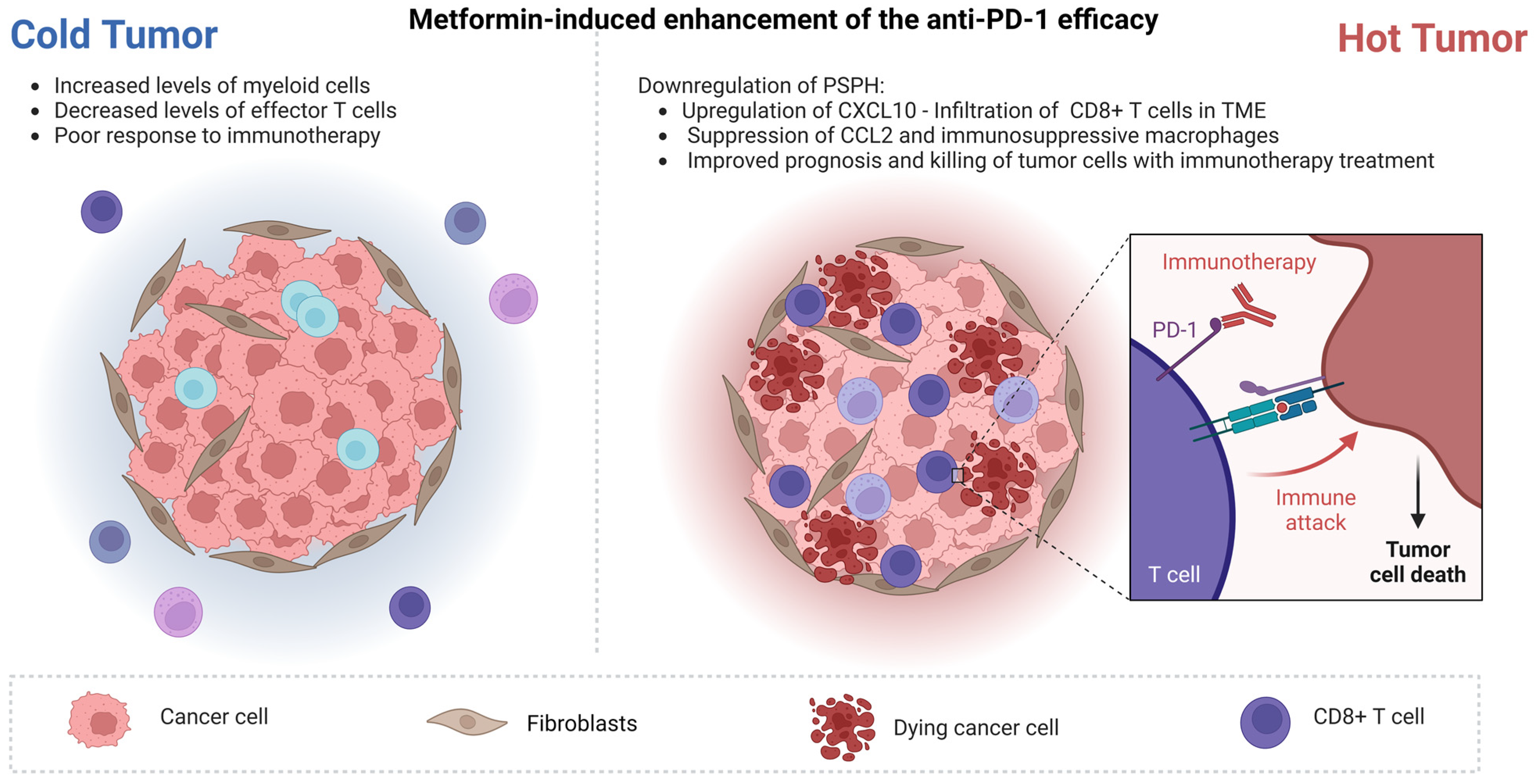 Cancers 15 03161 g003