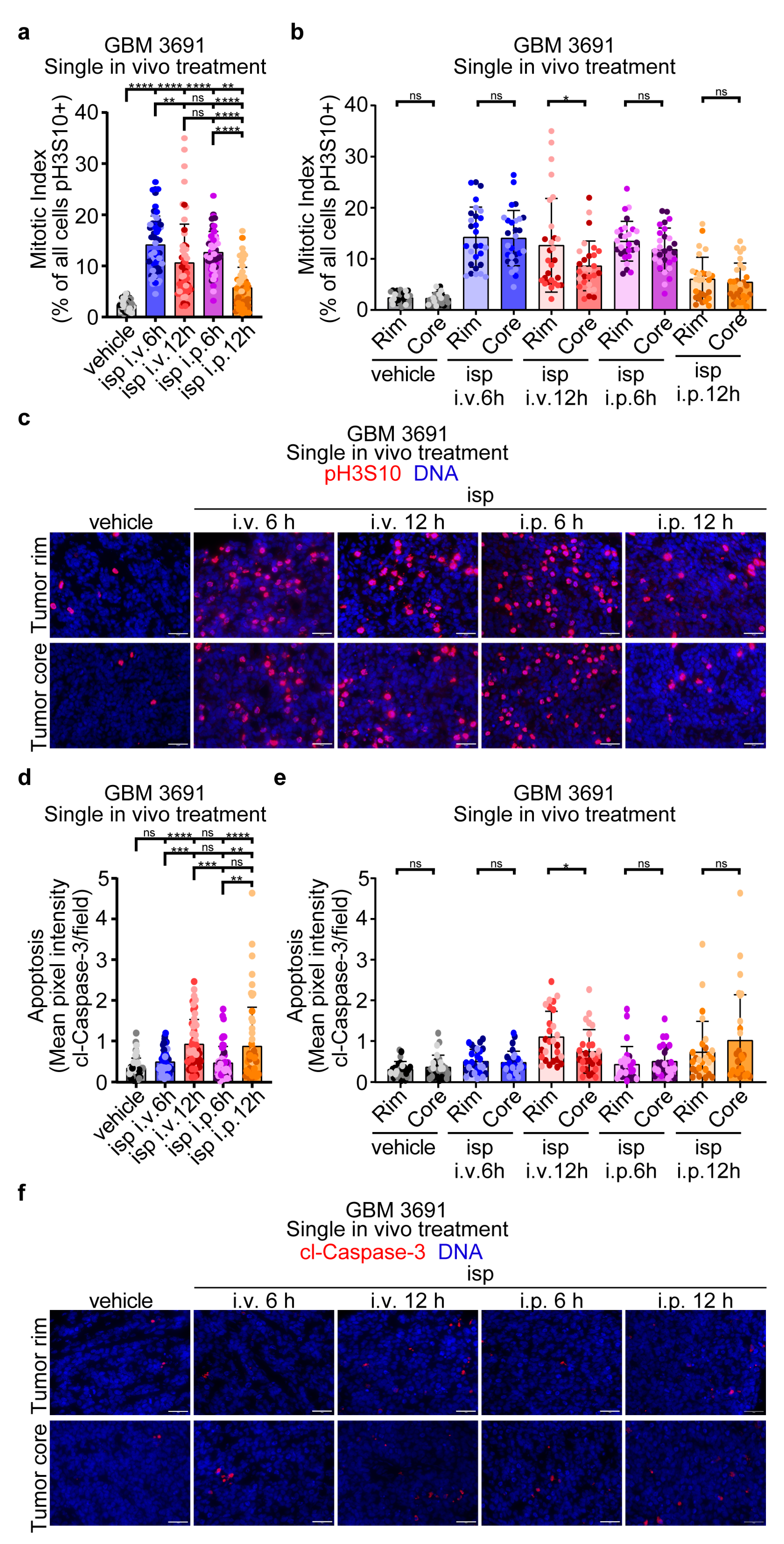 Cancers 15 03173 g002