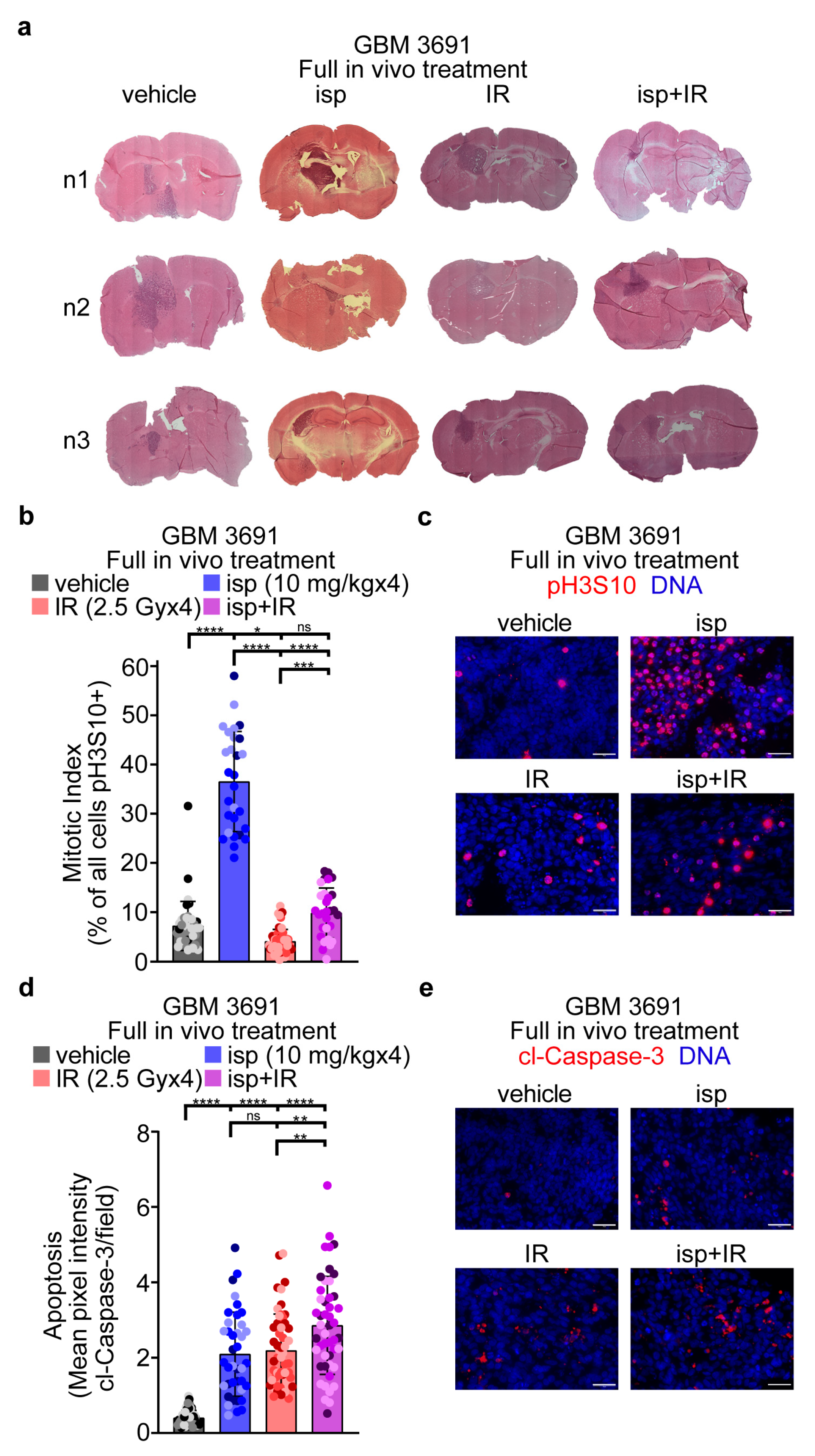 Cancers 15 03173 g003
