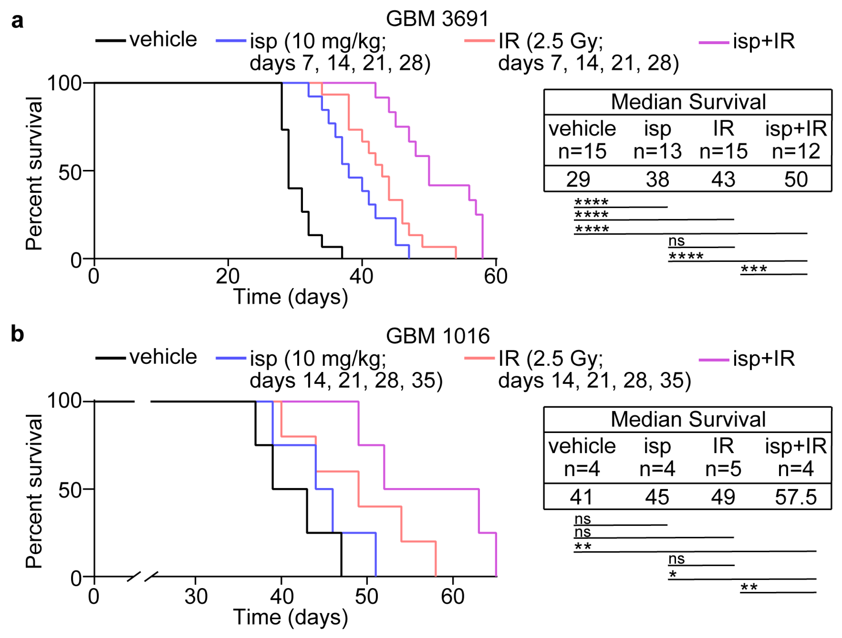 Cancers 15 03173 g004