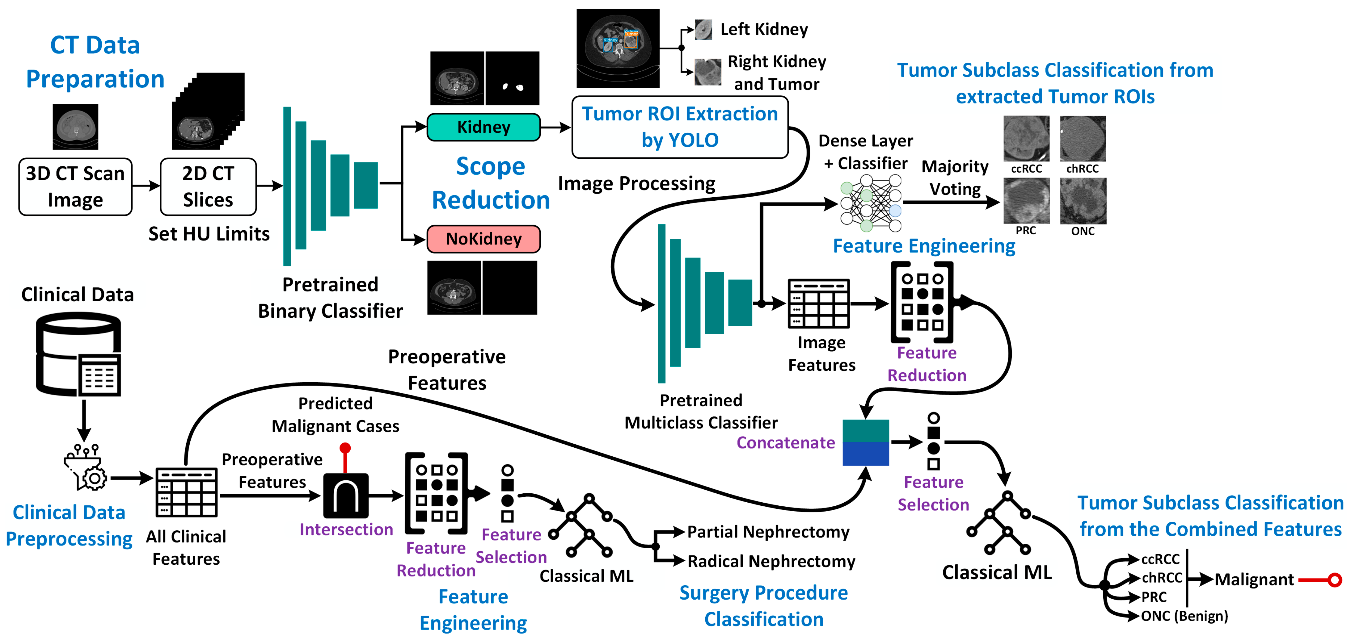 Cancers 15 03189 g001