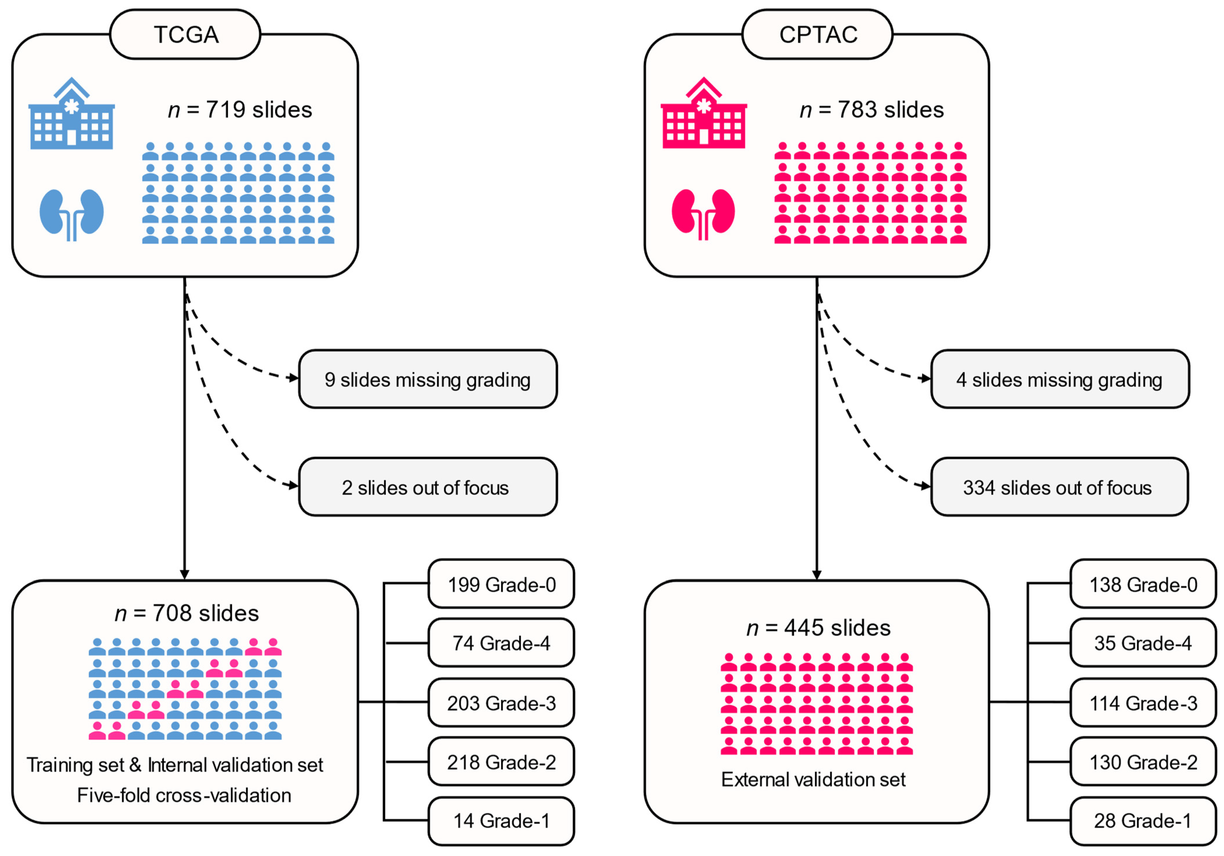 Cancers 15 03198 g001 Cancers 15 03198 g001