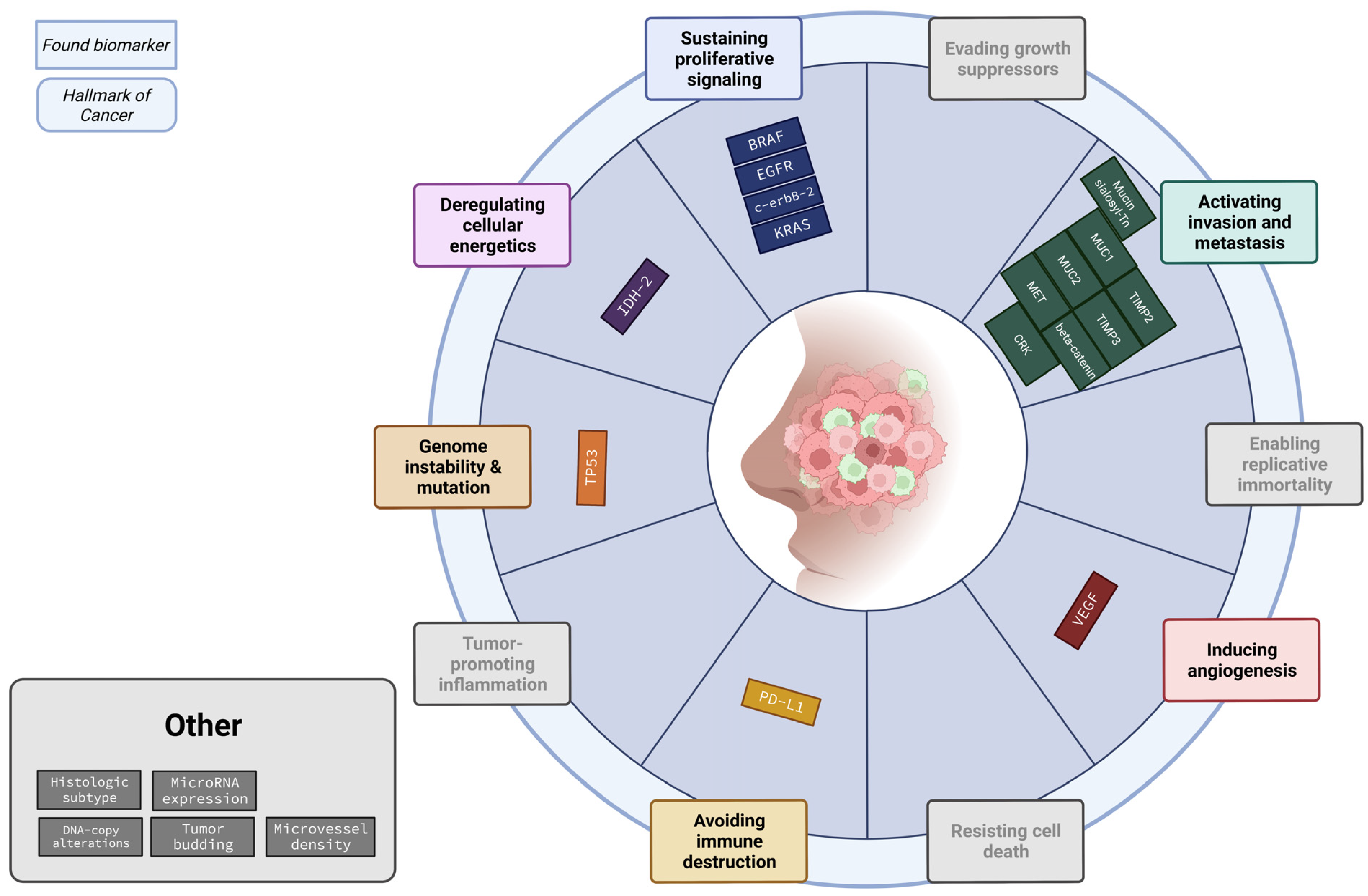 Cancers 15 03201 g002