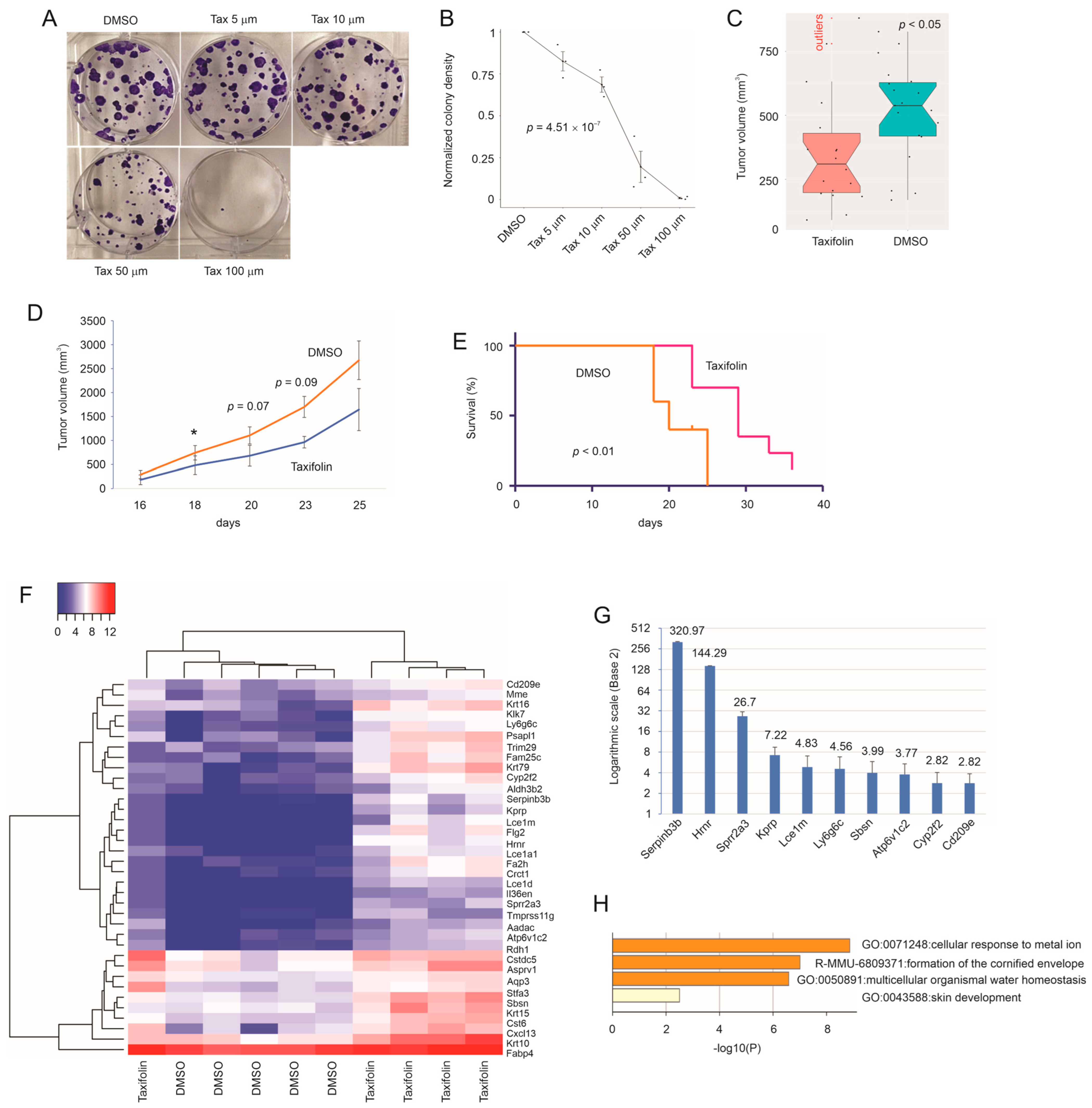 Cancers 15 03203 g001