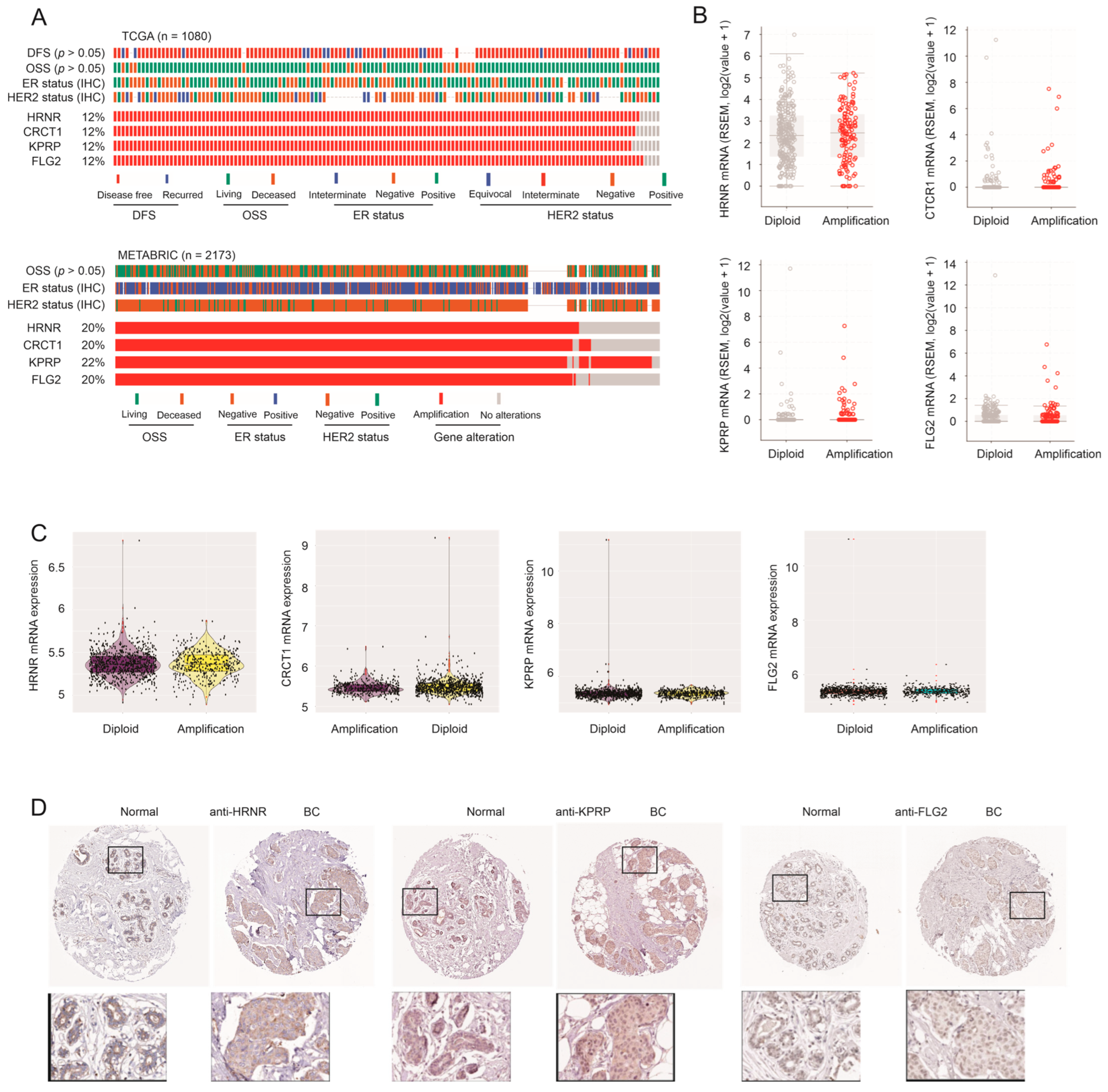 Cancers 15 03203 g002