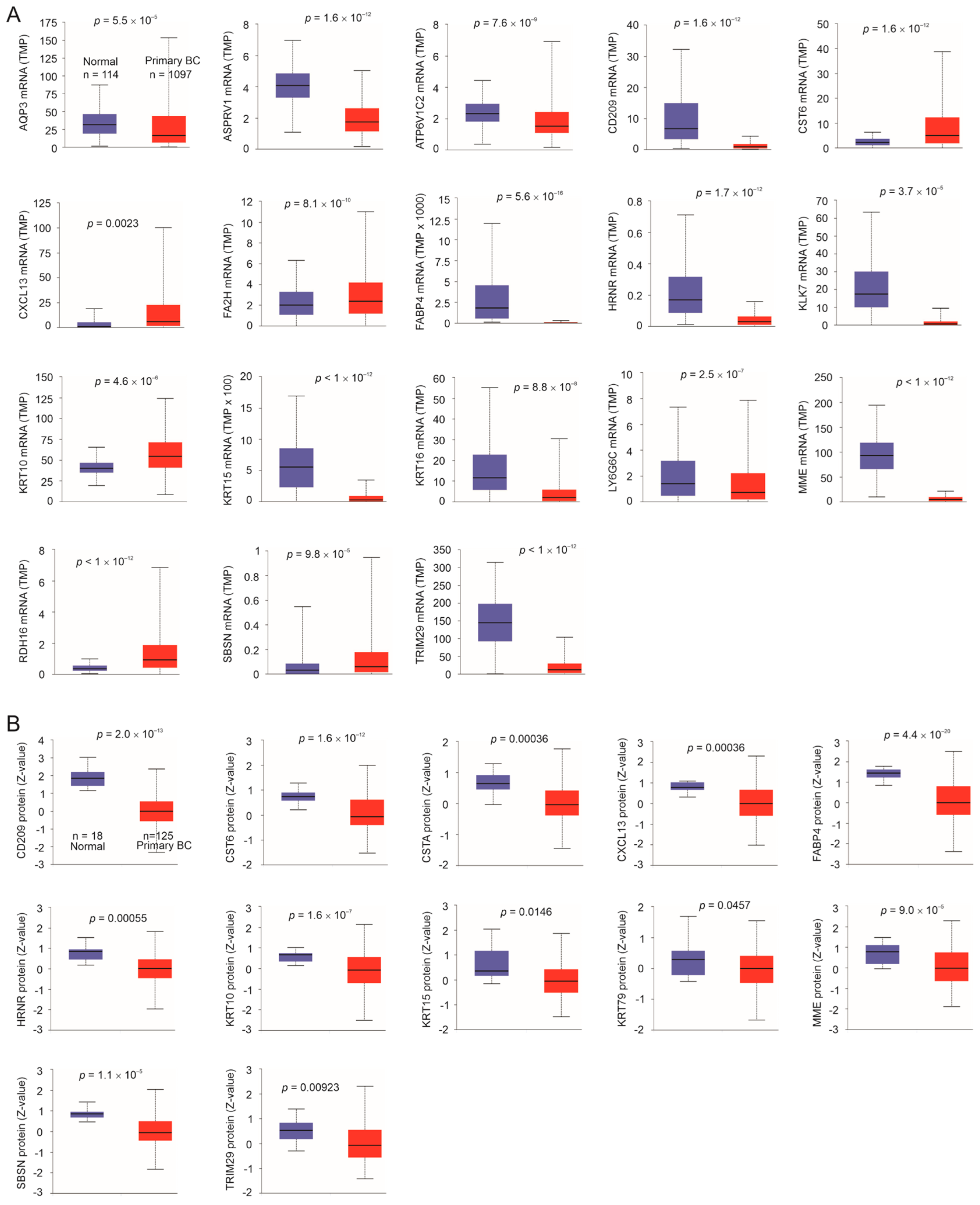 Cancers 15 03203 g003