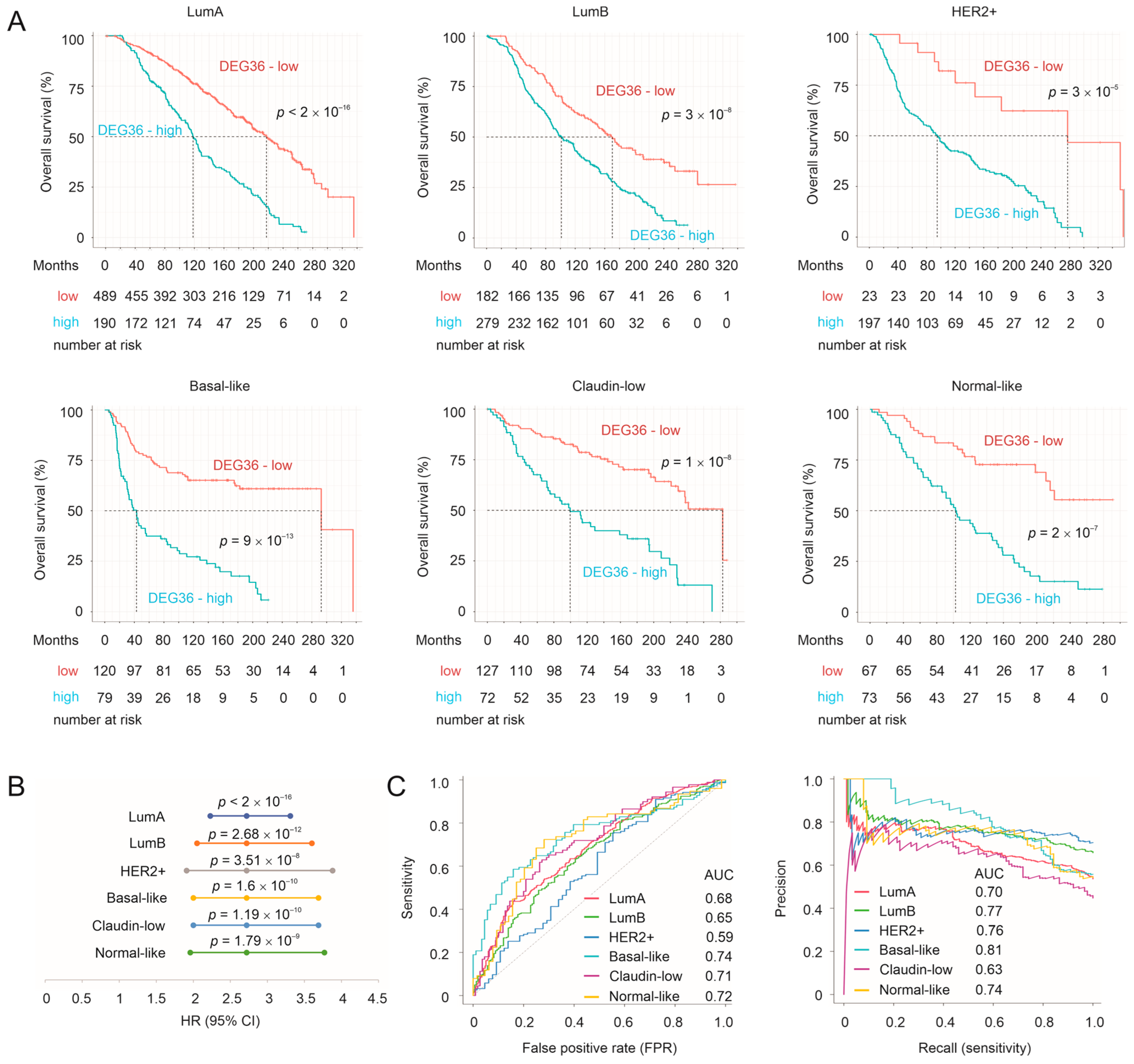 Cancers 15 03203 g006