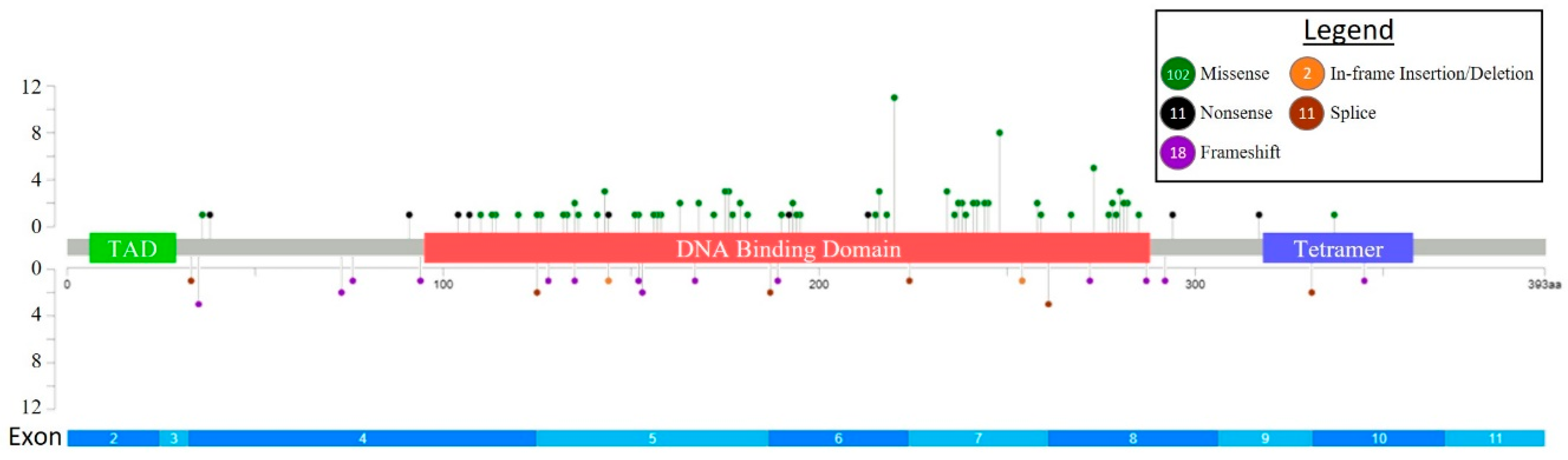 Cancers 15 03210 g001