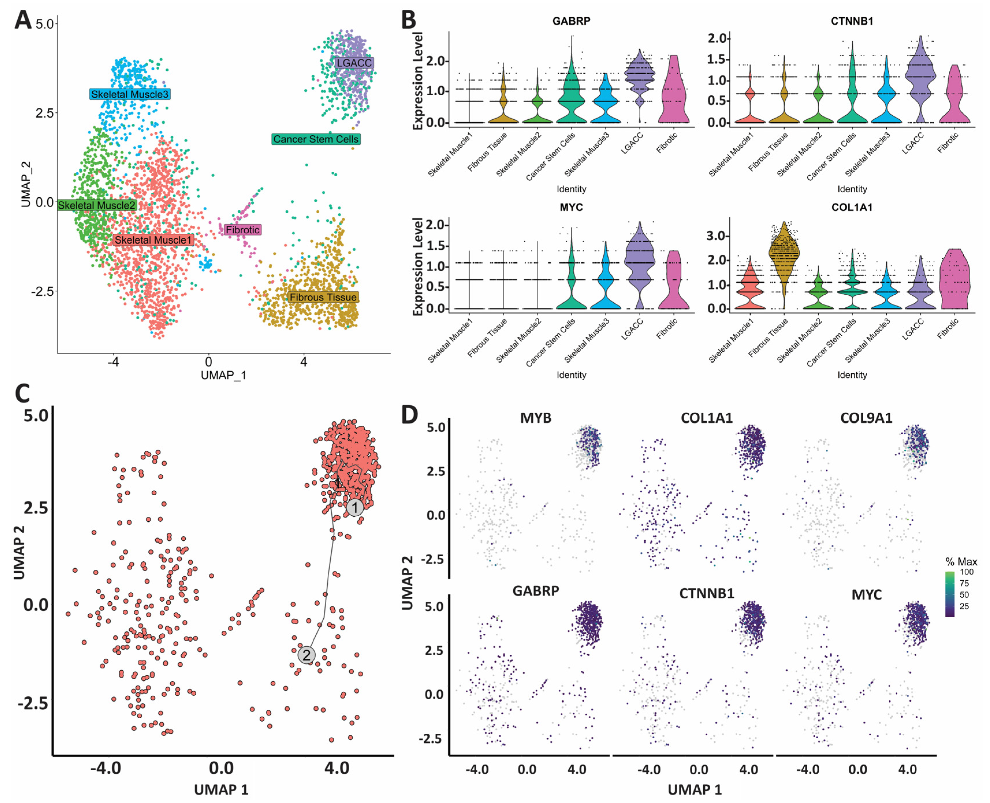Cancers 15 03211 g004