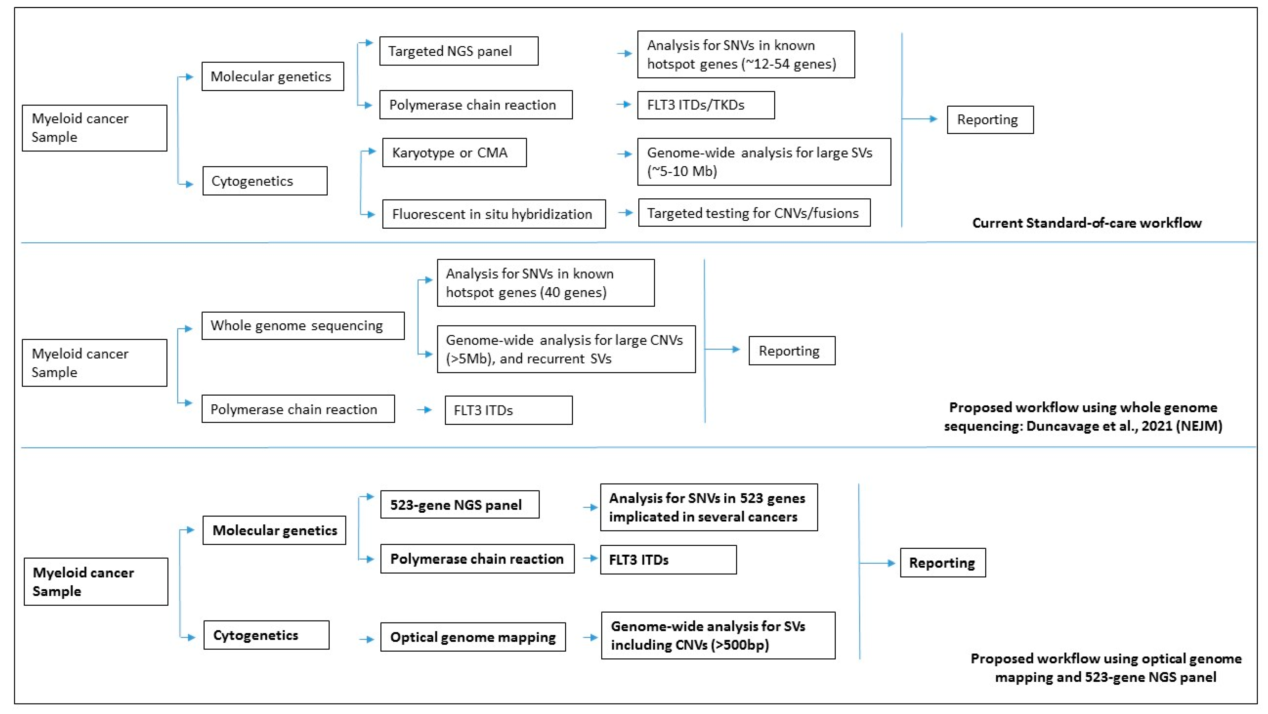 Cancers 15 03214 g006