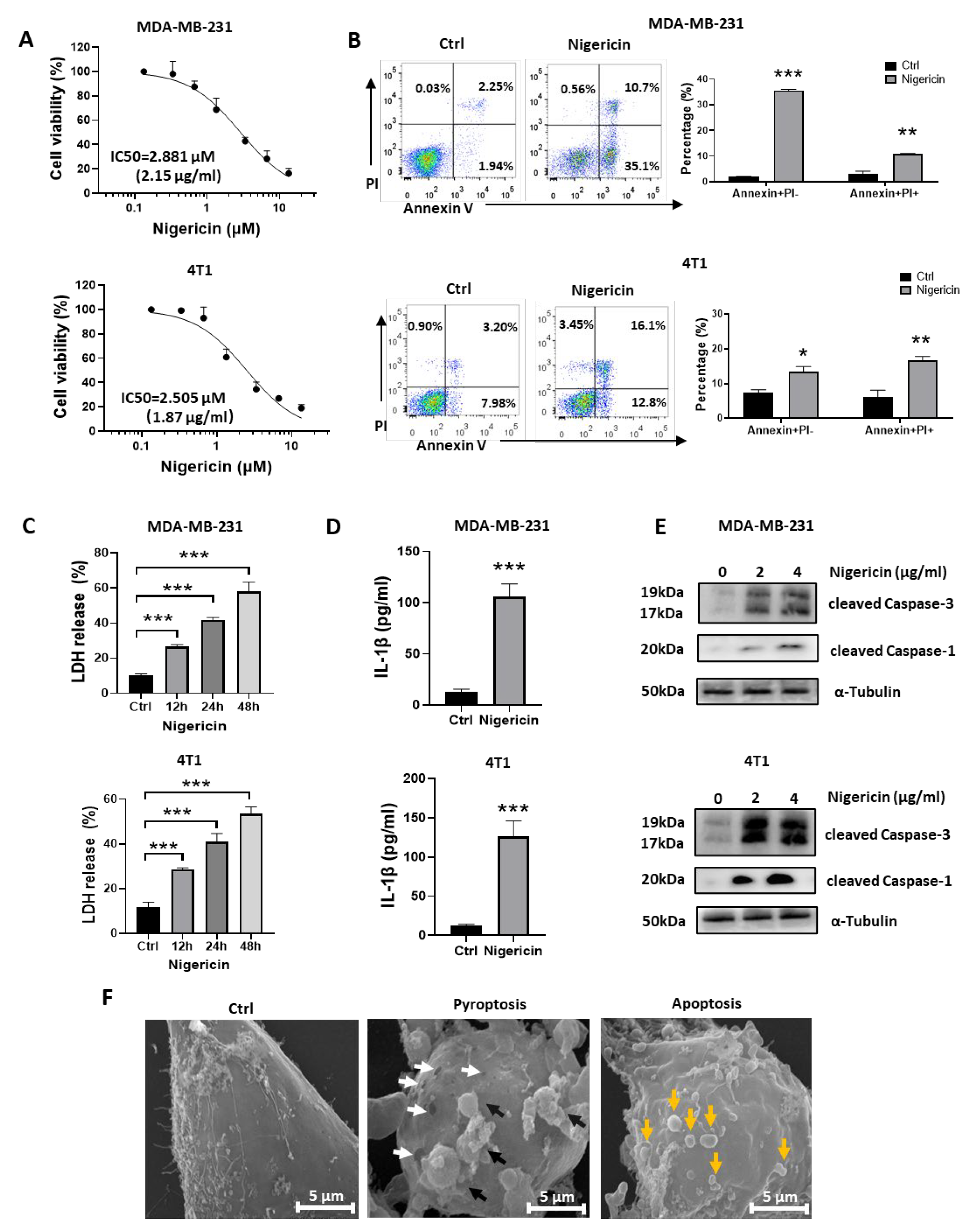 Cancers 15 03221 g001