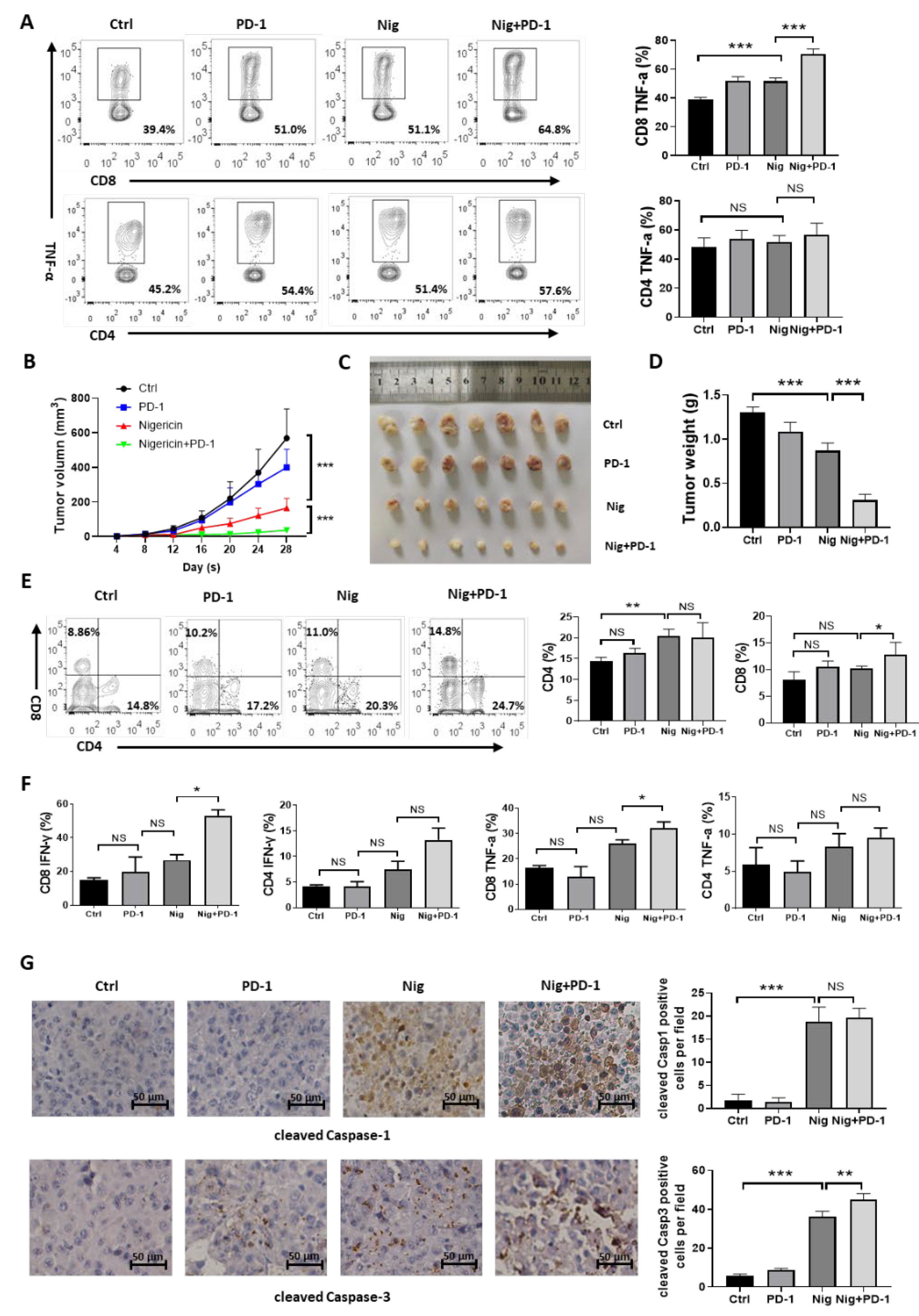 Cancers 15 03221 g006