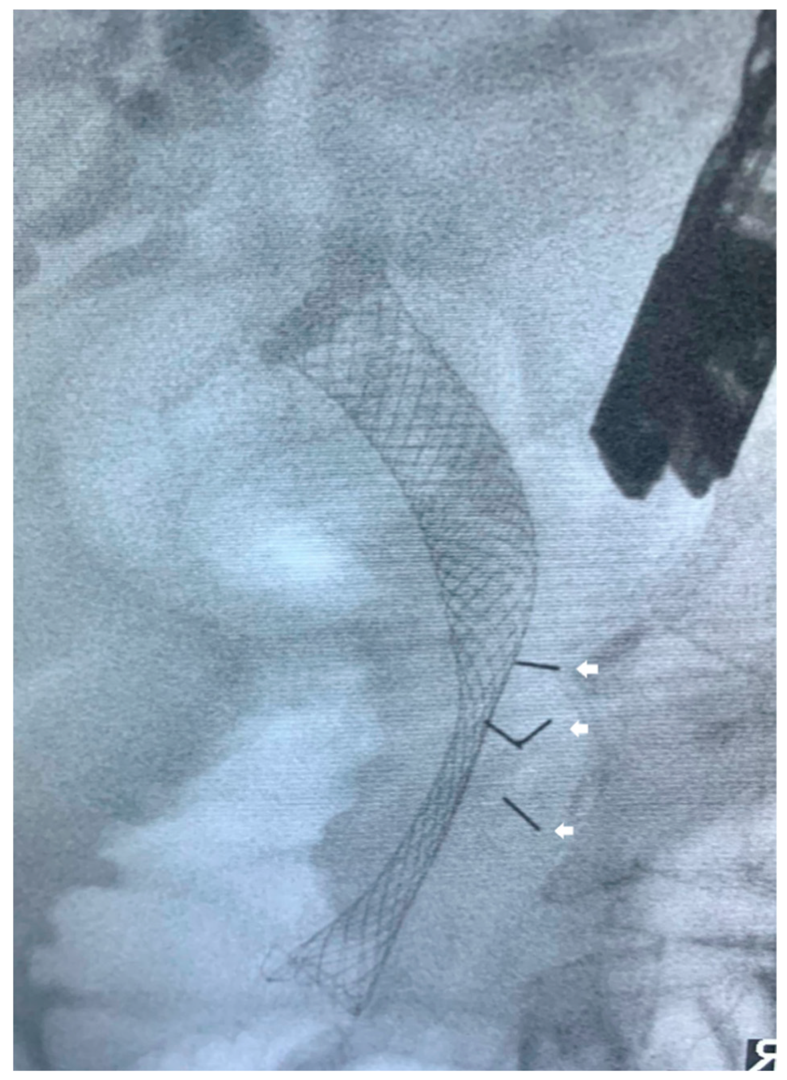 Cancers 15 03235 g002