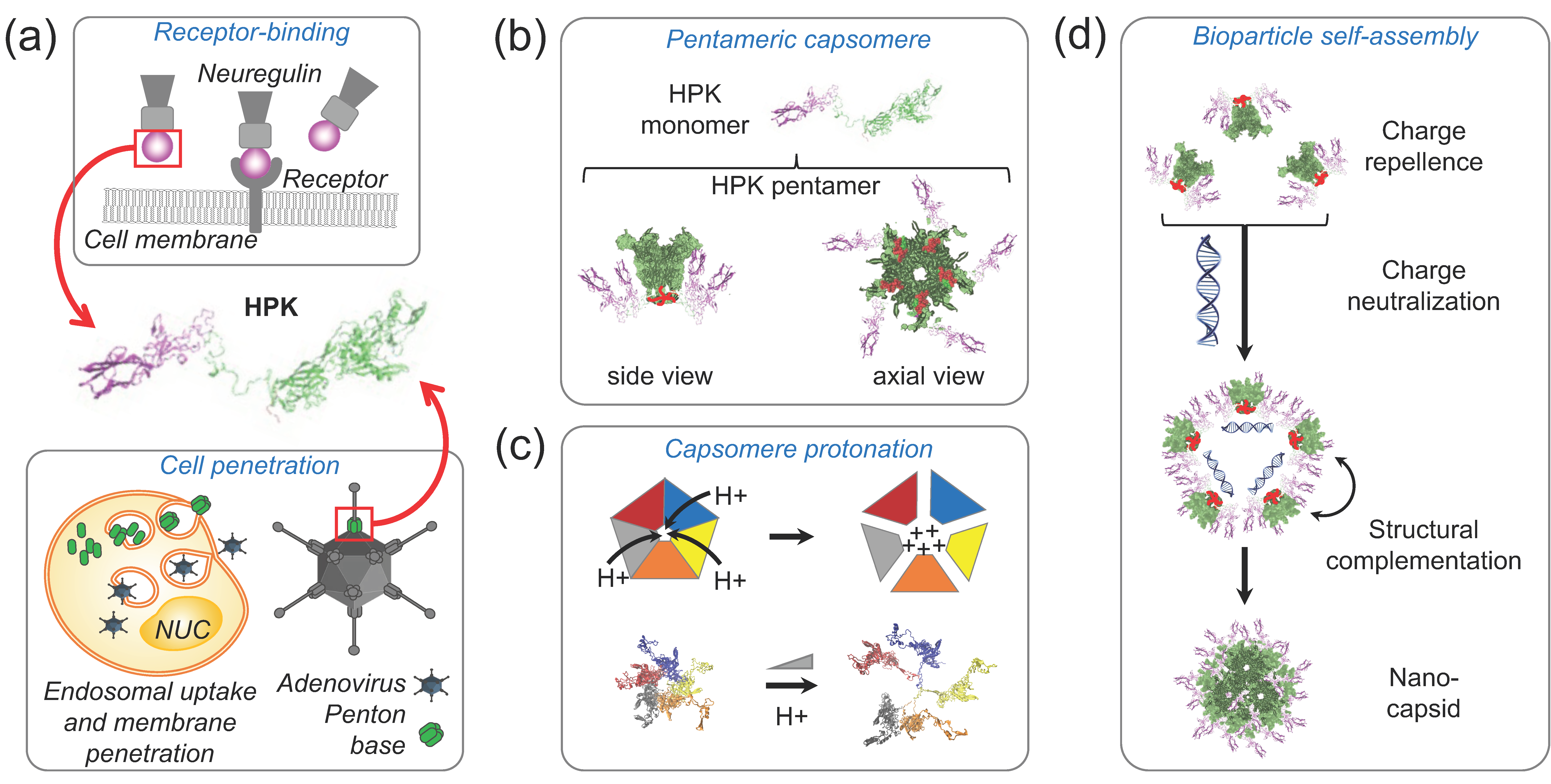 Cancers 15 03240 g003