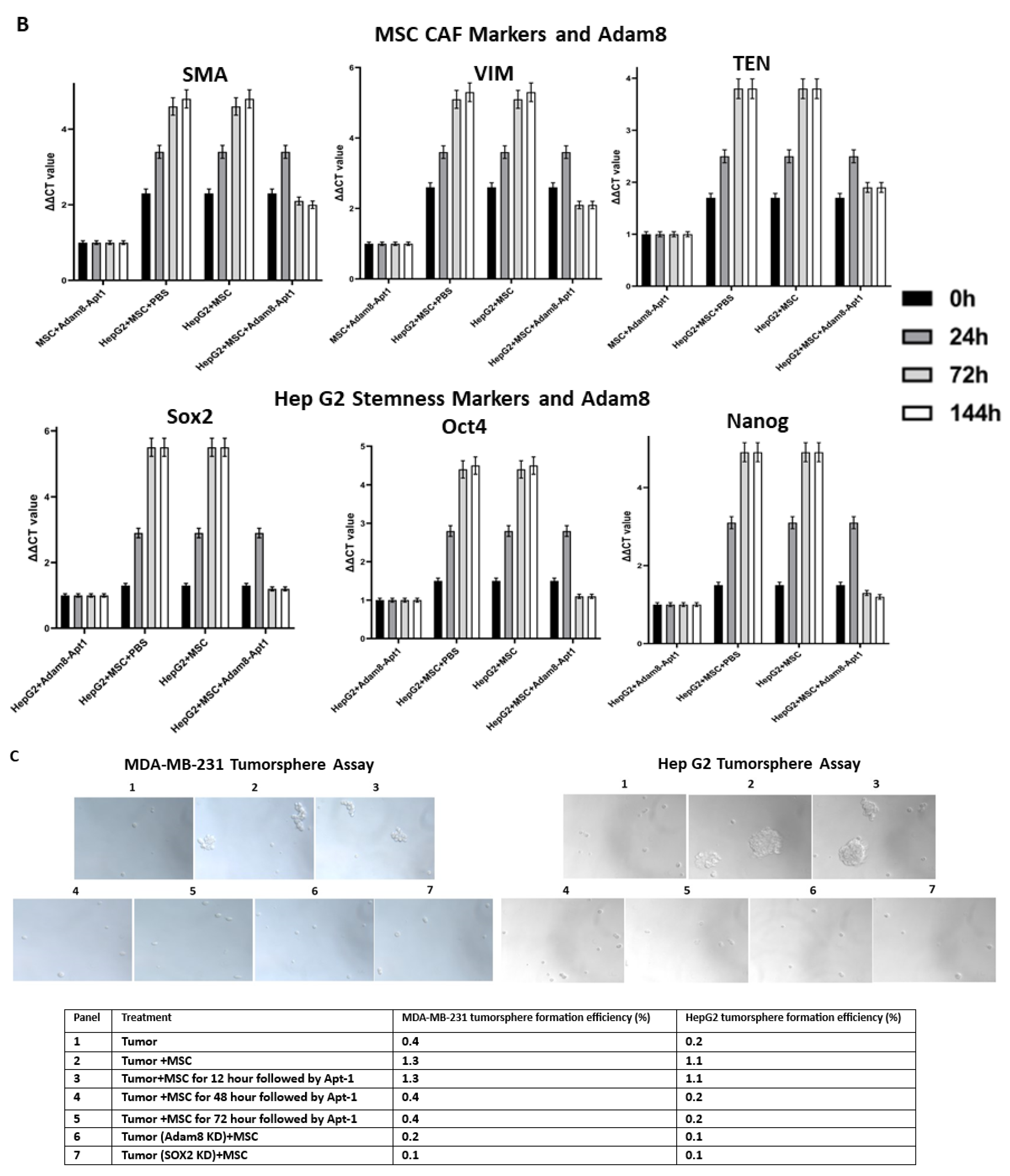 Cancers 15 03254 g003b