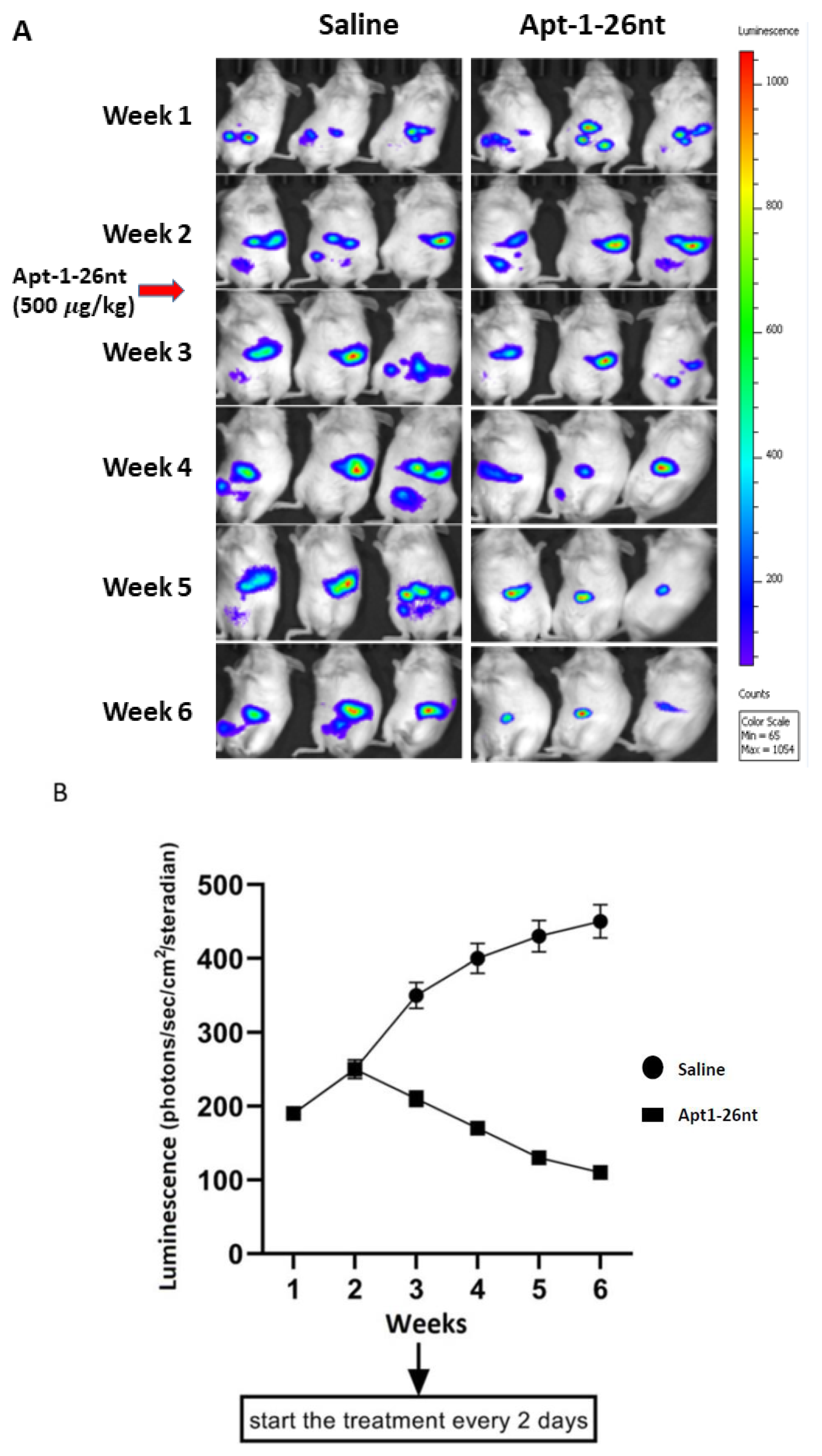 Cancers 15 03254 g004a