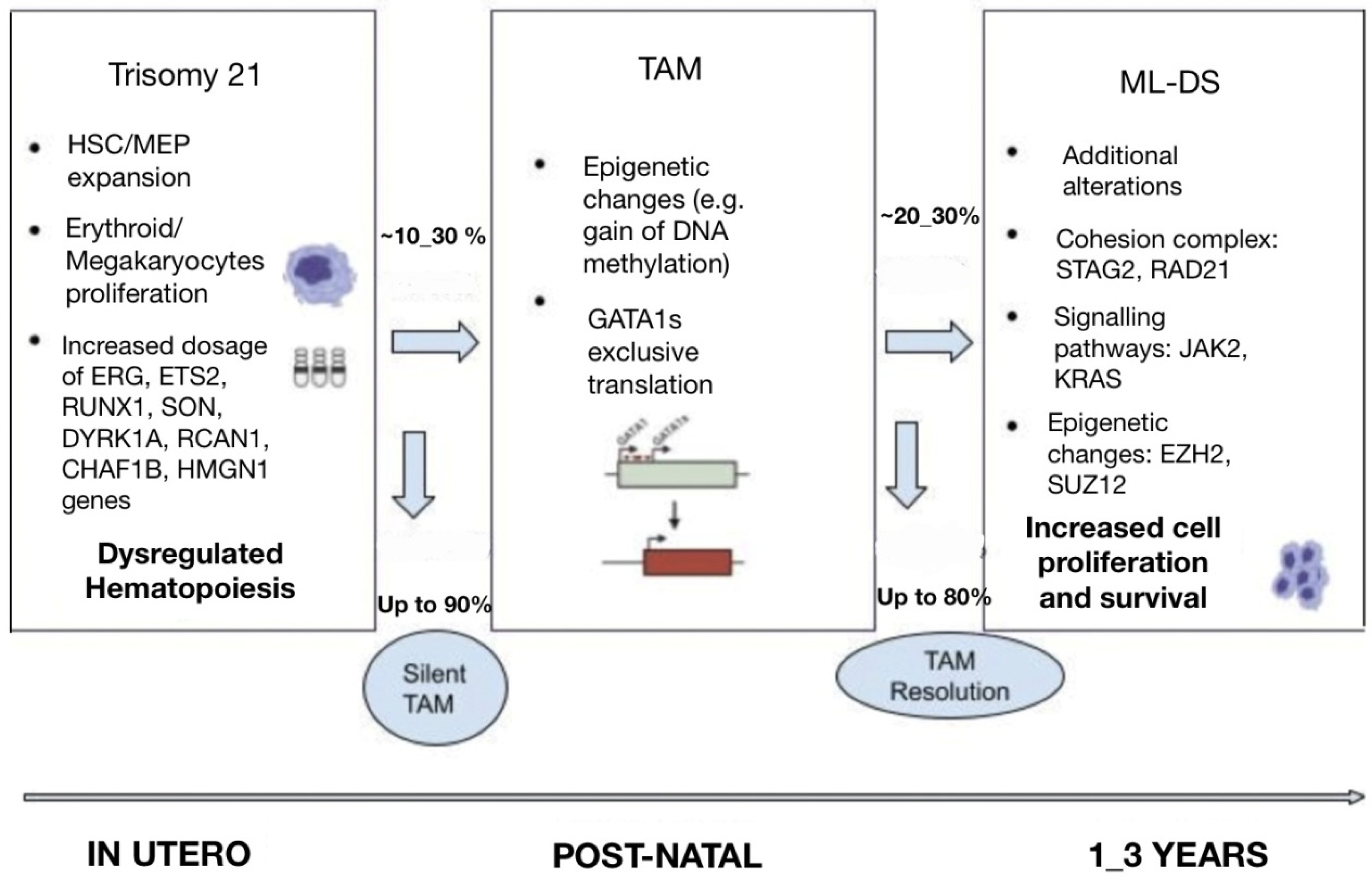 Cancers 15 03265 g001