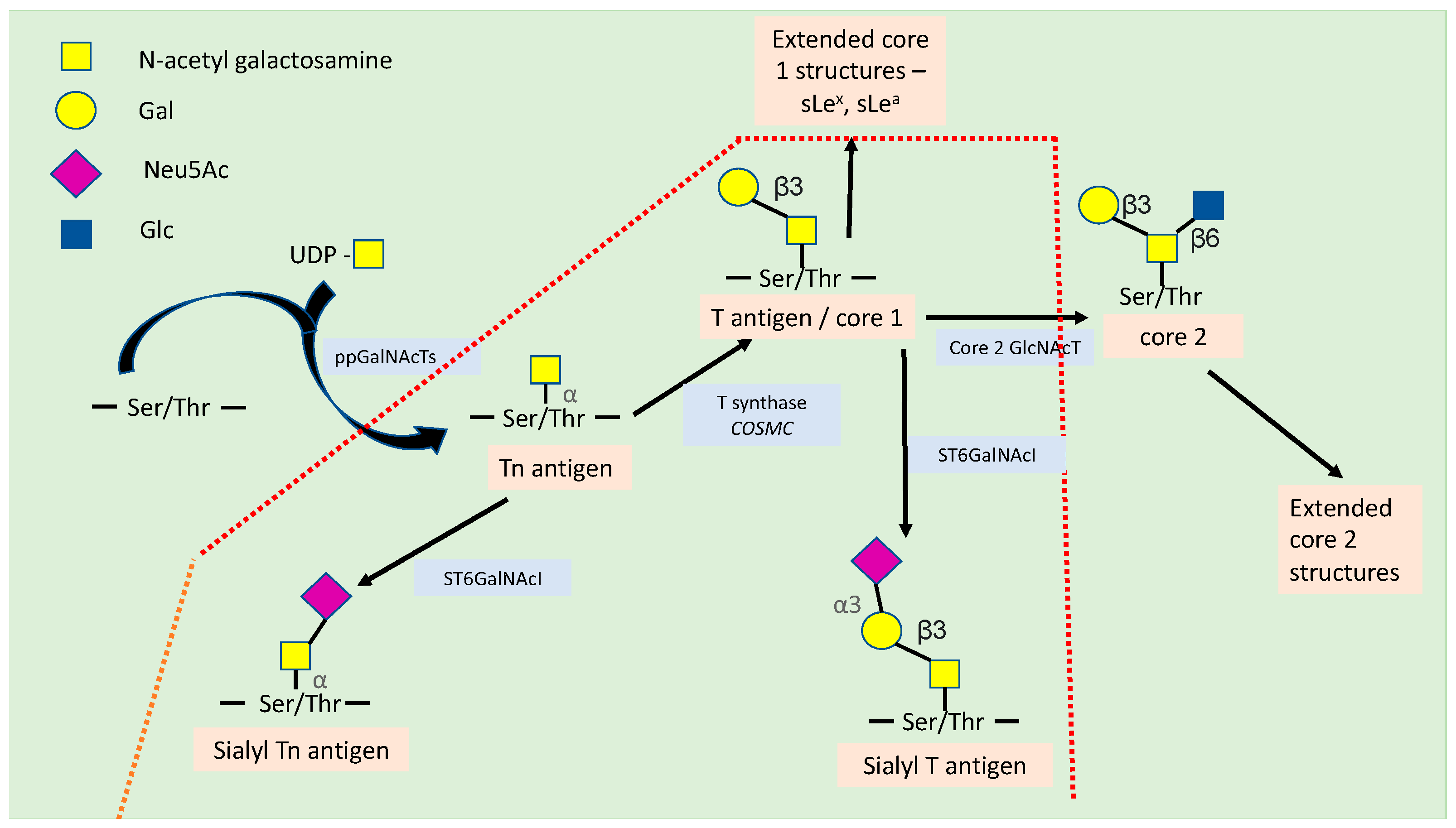 Cancers 15 03266 g001 Cancers 15 03266 g001