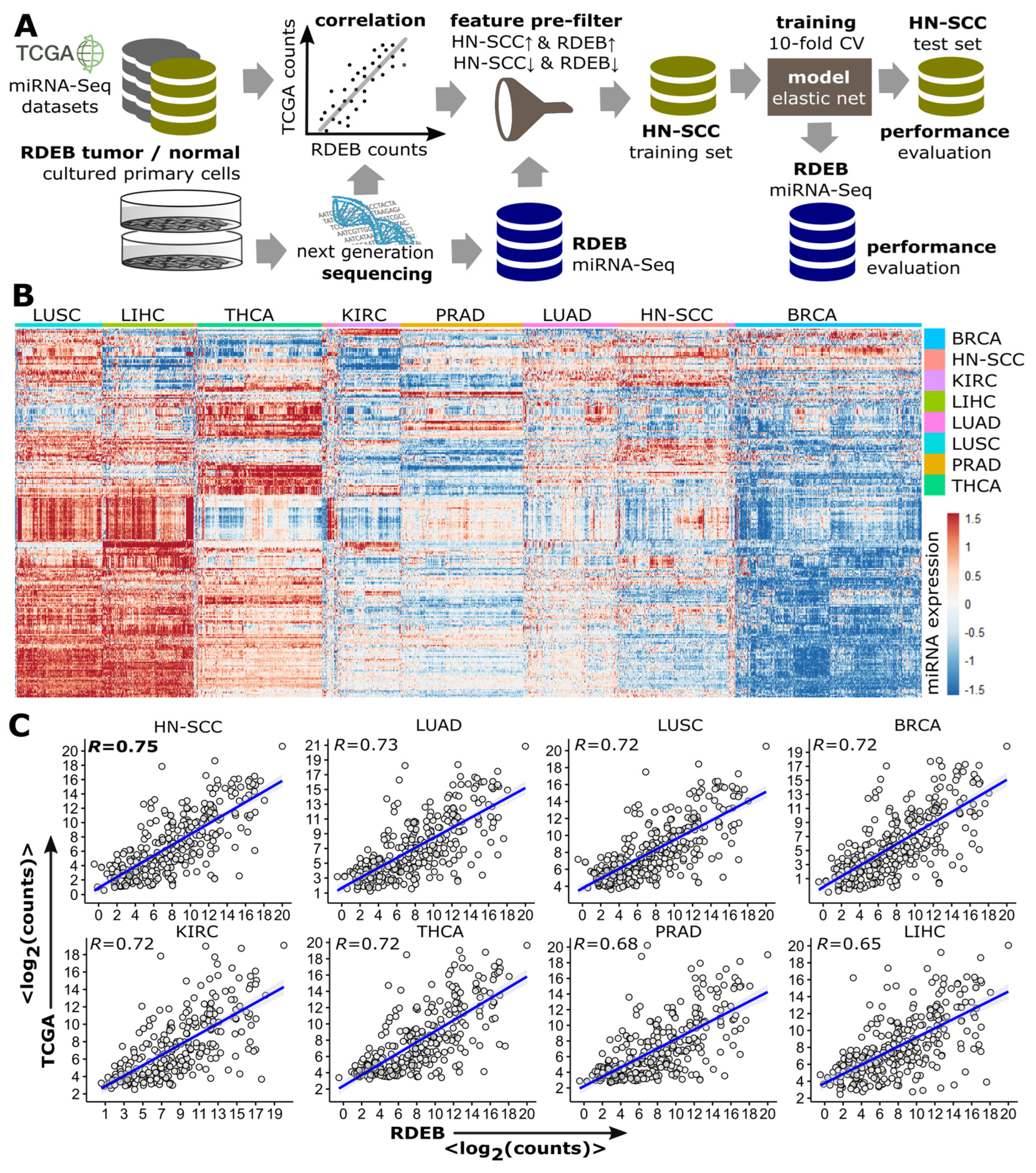 Cancers 15 03286 g002 Cancers 15 03286 g002