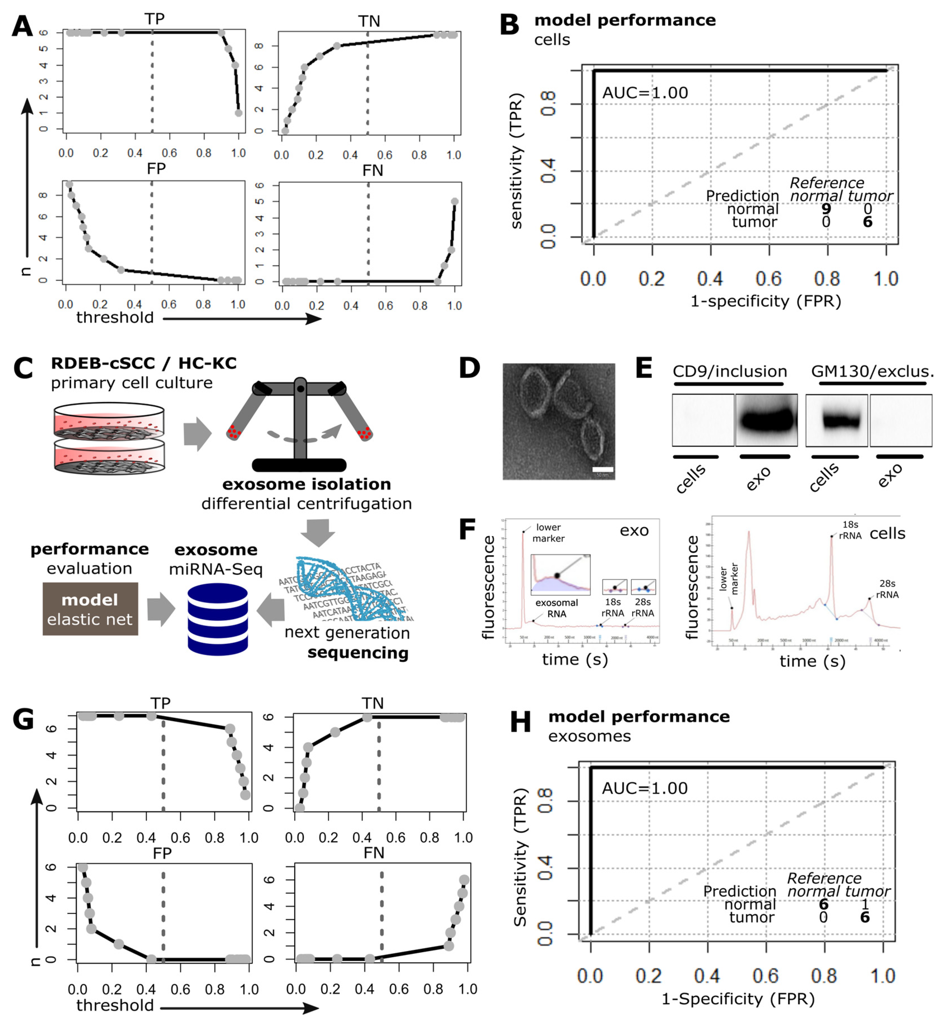 Cancers 15 03286 g005 Cancers 15 03286 g005