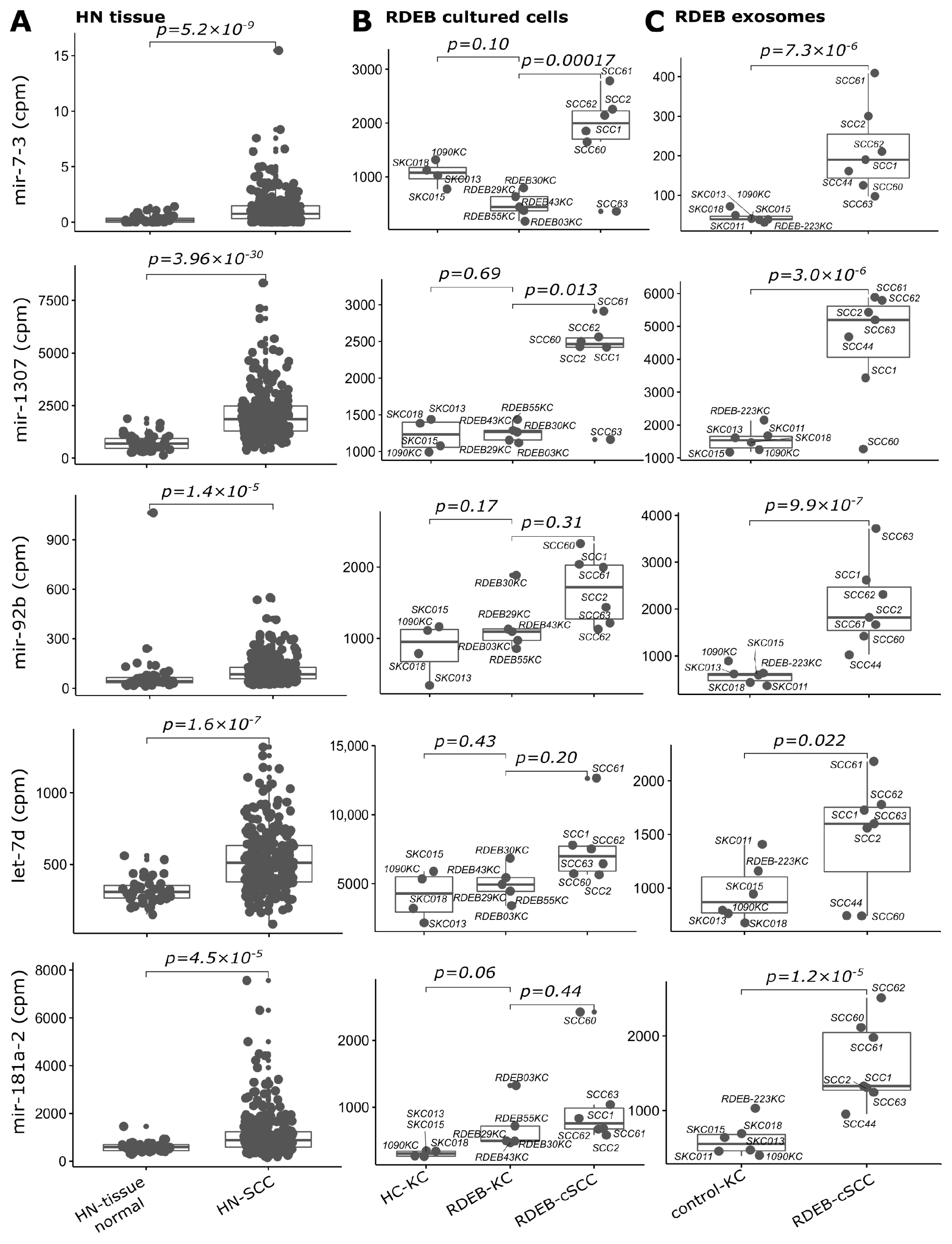Cancers 15 03286 g006 Cancers 15 03286 g006