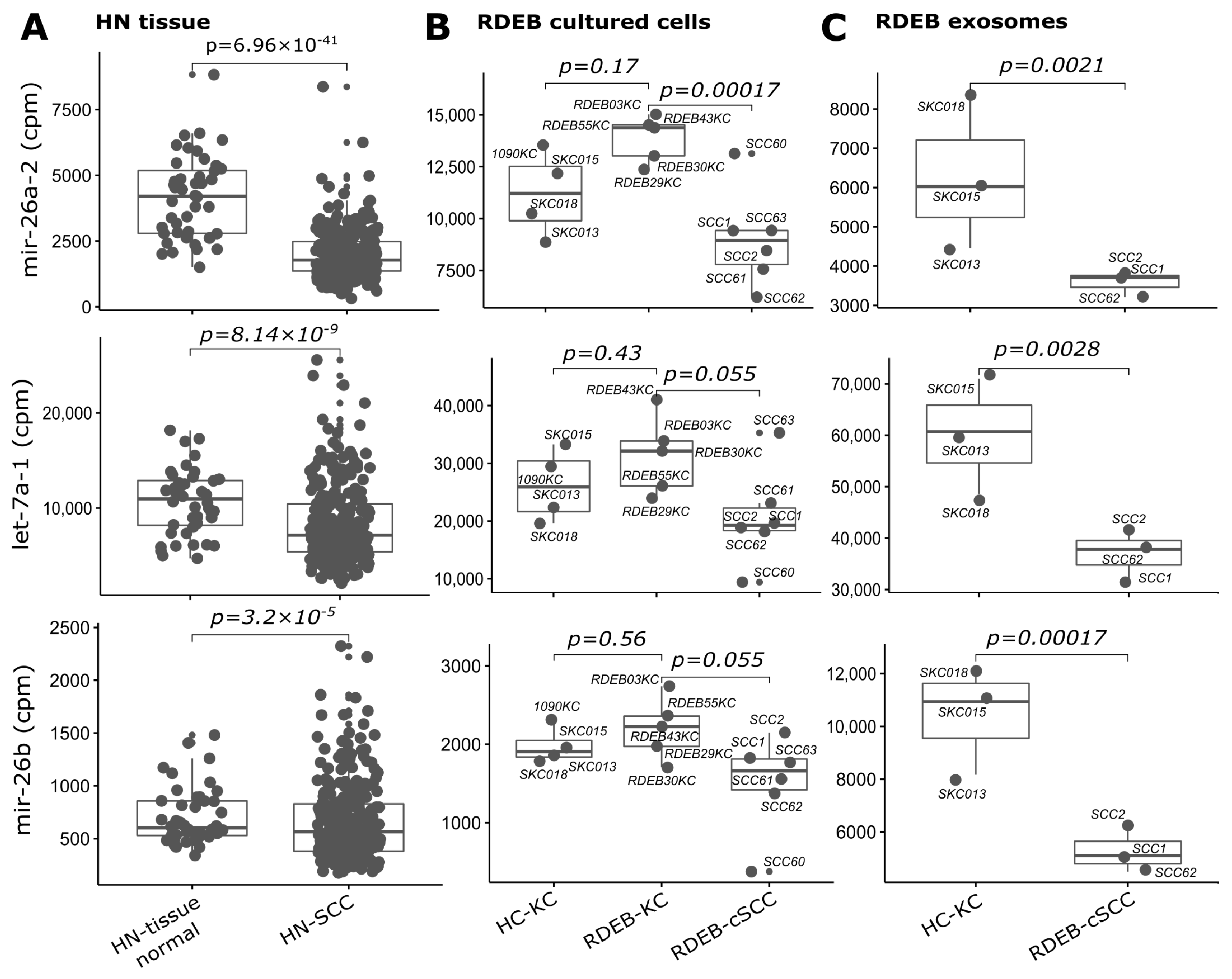 Cancers 15 03286 g007 Cancers 15 03286 g007