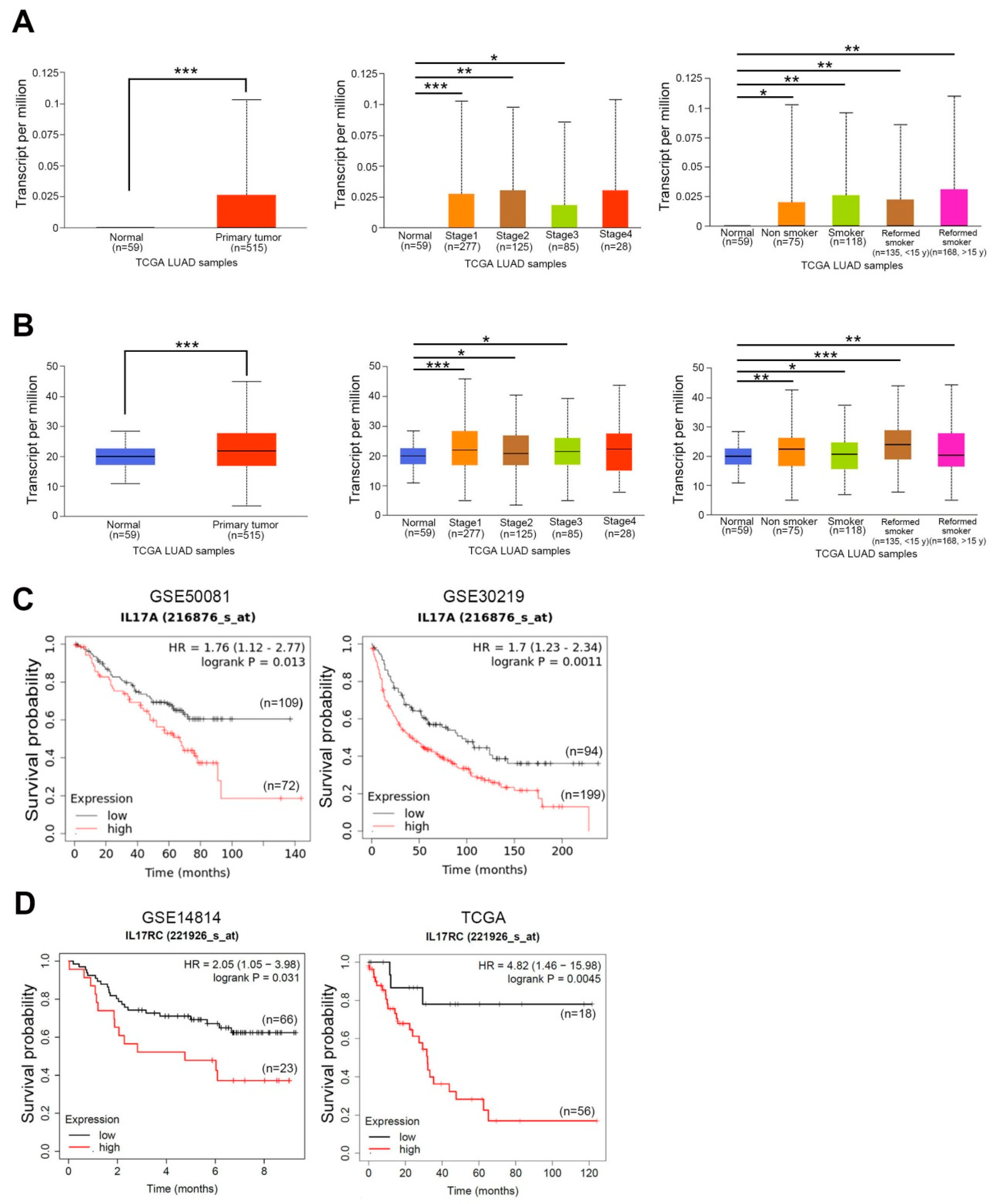 Cancers 15 03288 g001