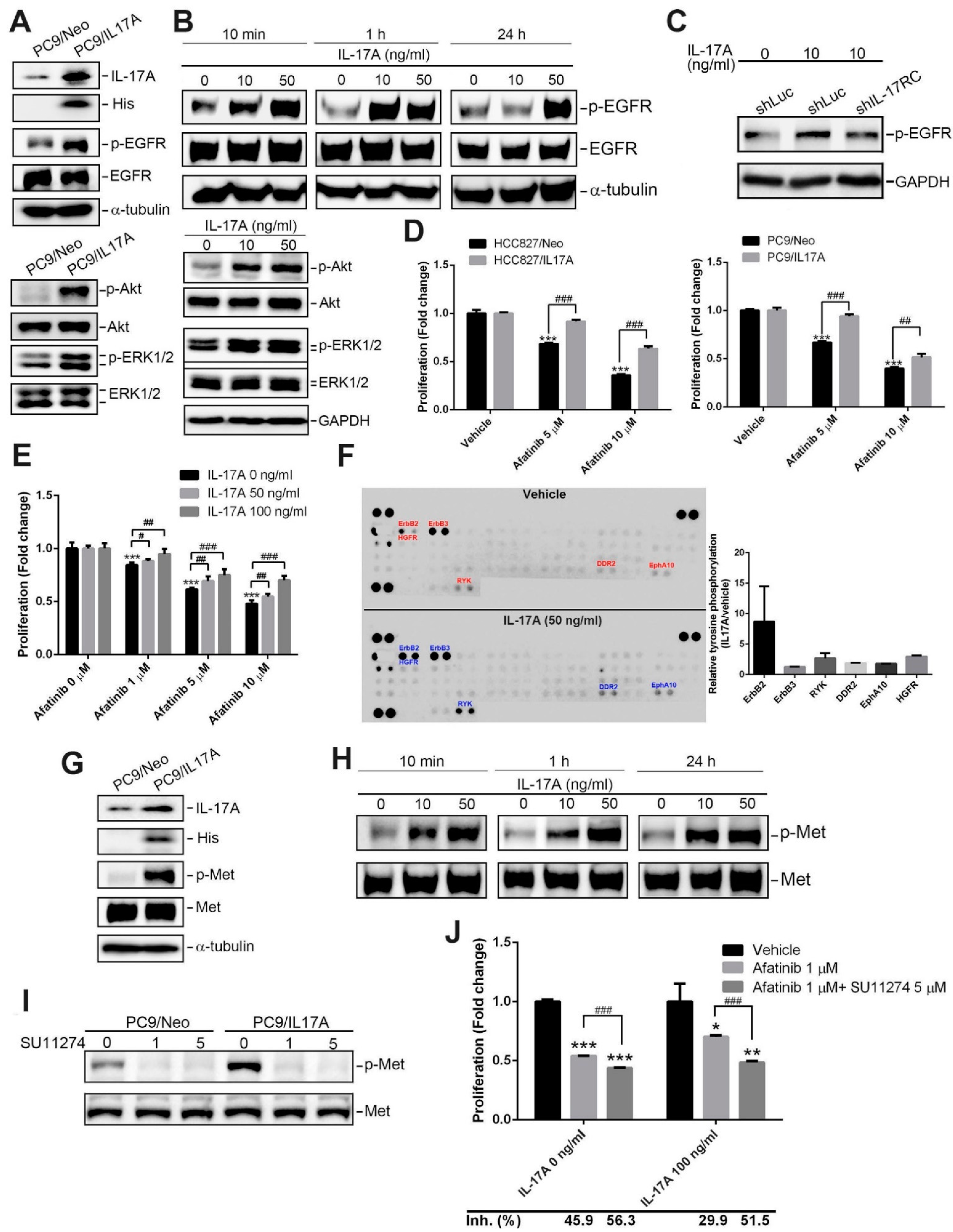 Cancers 15 03288 g003